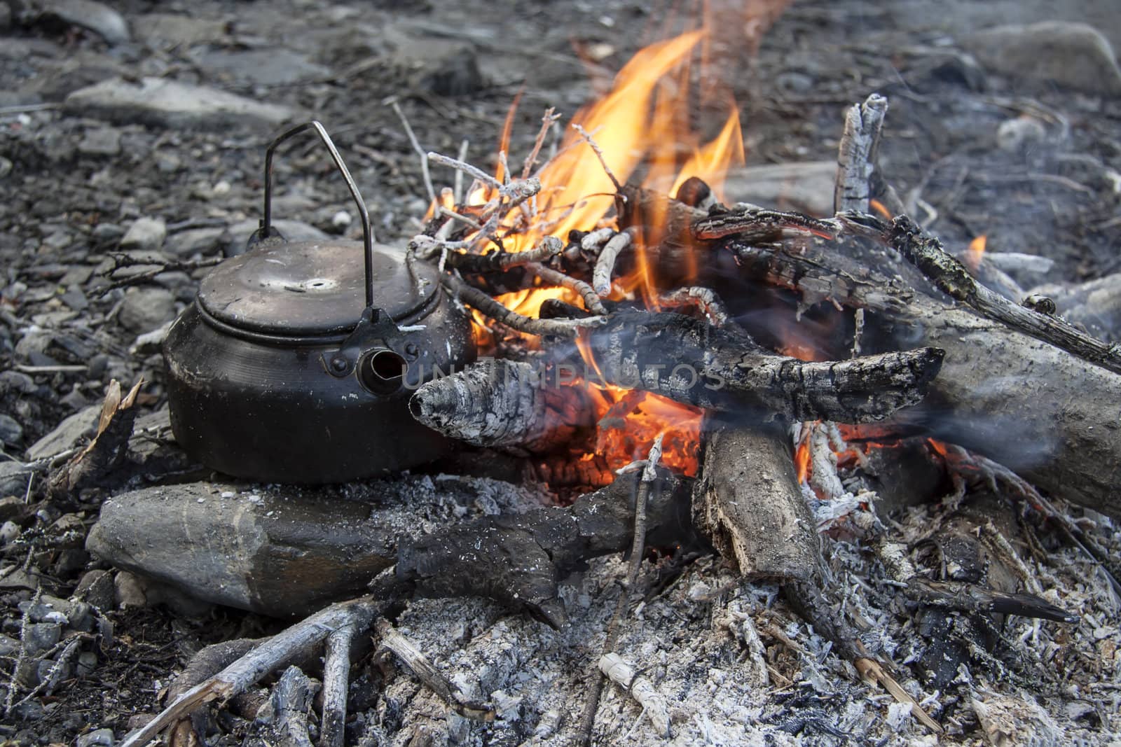 Camp fire in wild mountain