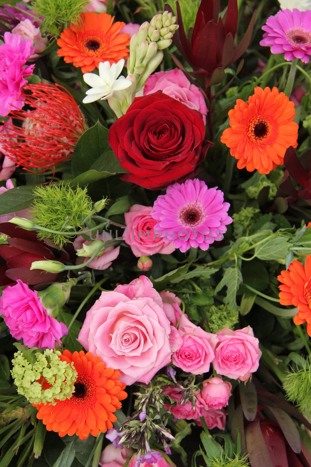 Various flowers in a mixed color arrangement: pink, red and orange