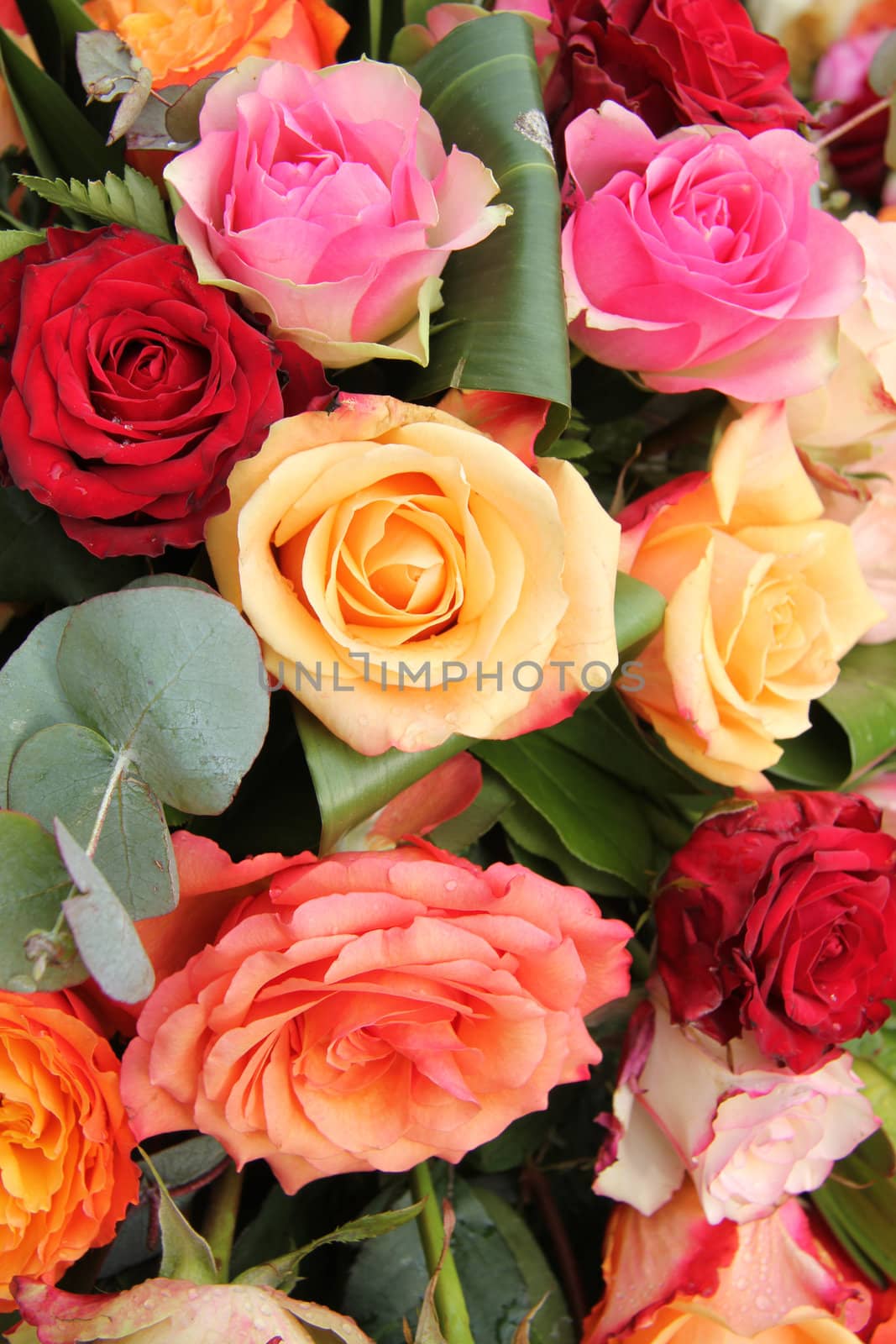 Big roses in various colors in a rose bouquet