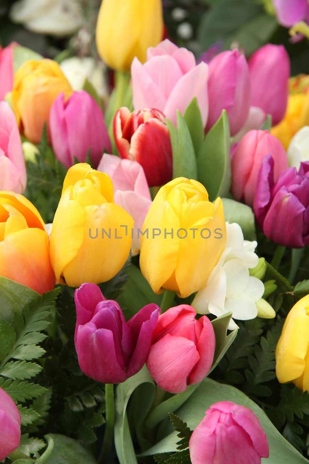 Mixed tulip bouquet by studioportosabbia