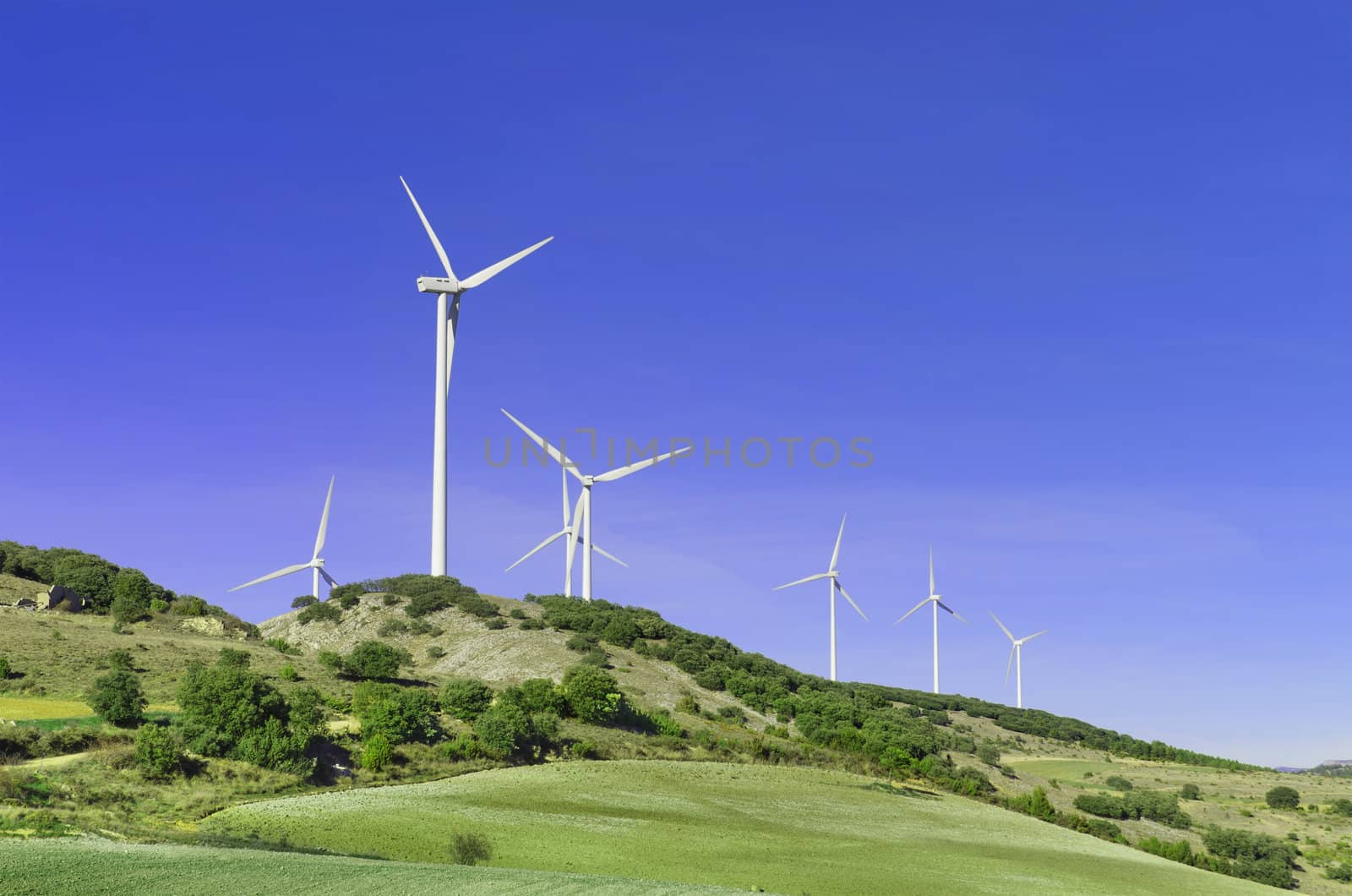 Green landscape with wind turbines.