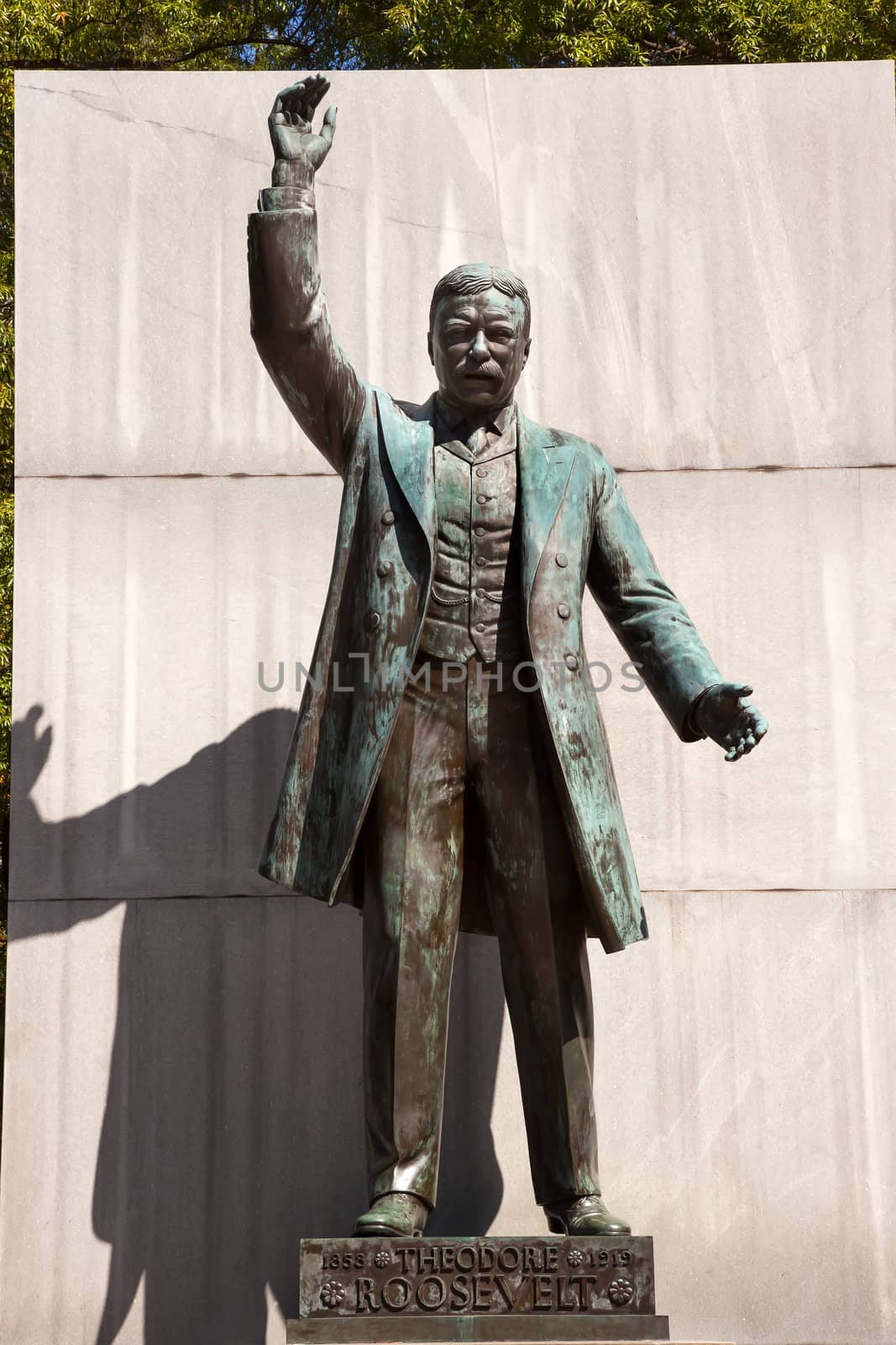 Theodore Roosevelt Statue Memorial Roosevelt Island Washington DC