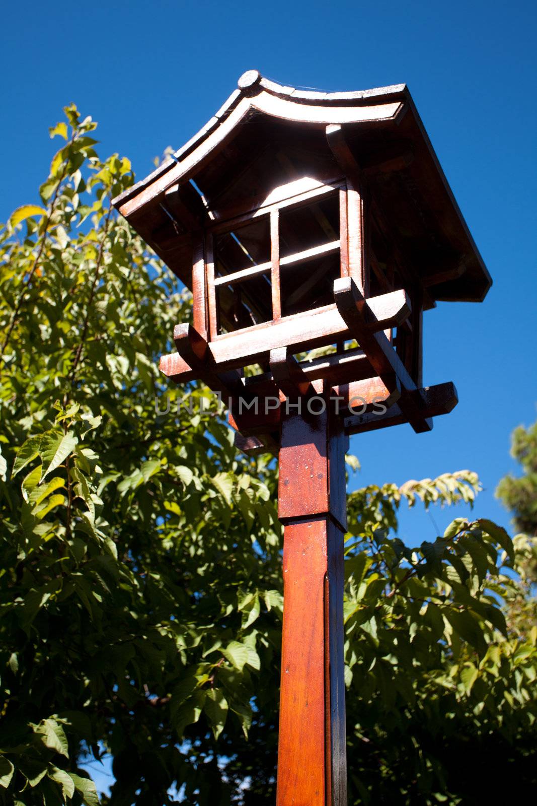 Japanese lantern on a background of blue sky  by jannyjus