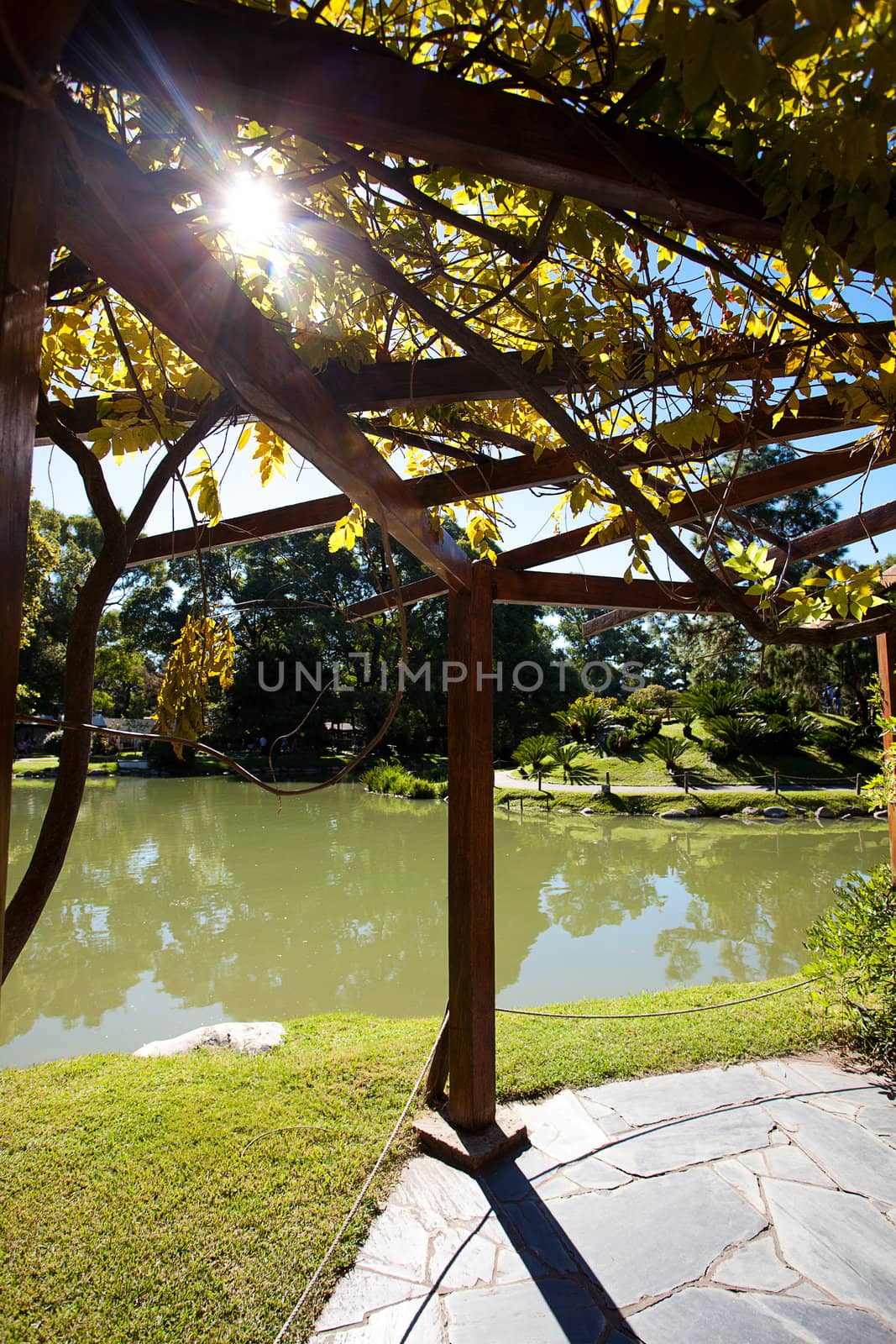 gazebo near the pond in the park