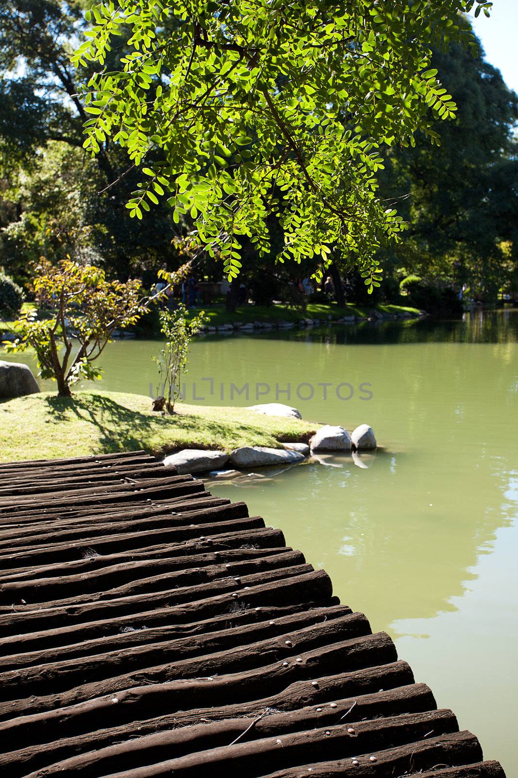 wooden bridge with and pond in the park by jannyjus