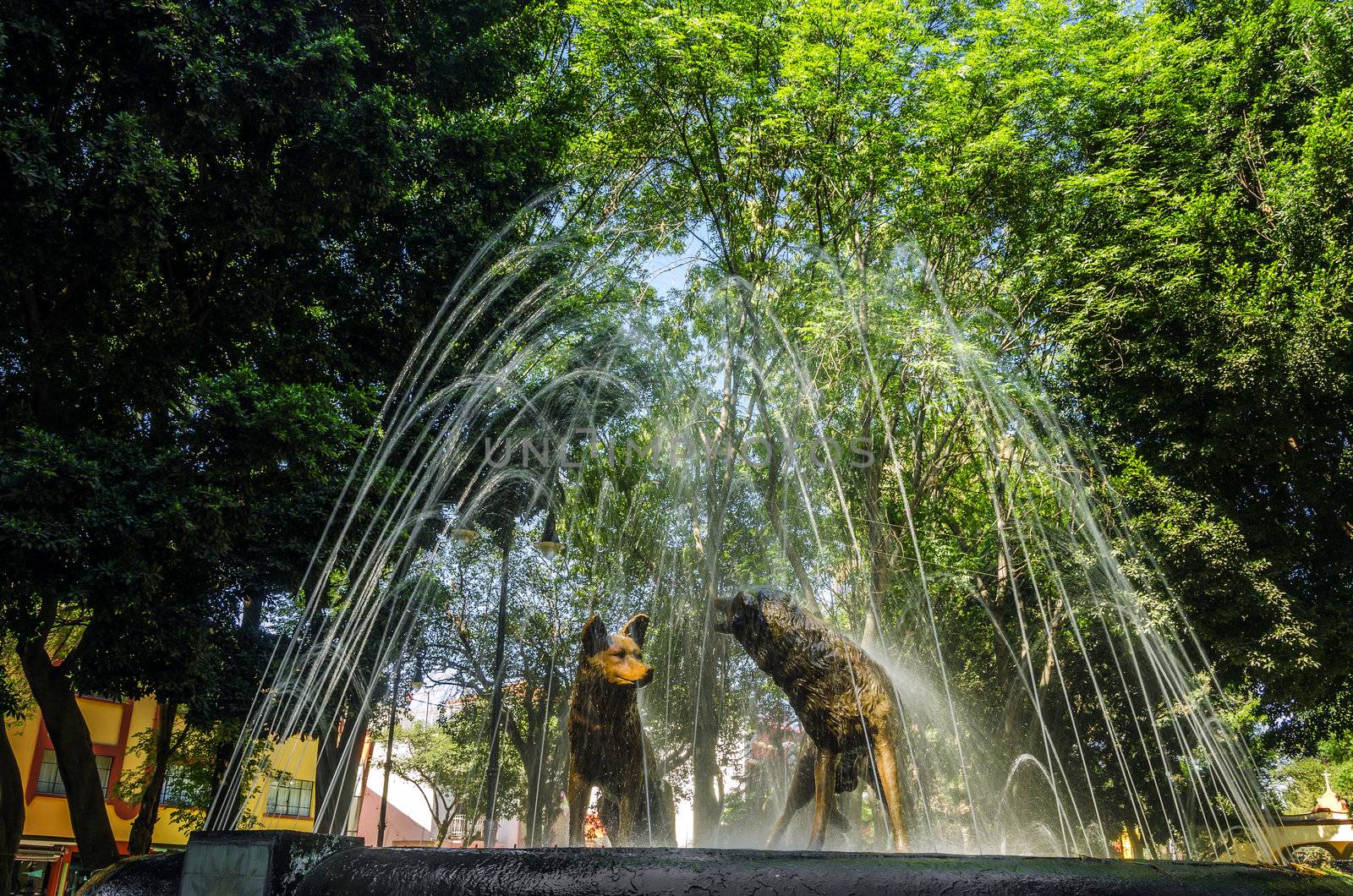 A fount with dog statues in Coyoacan in Mexico City