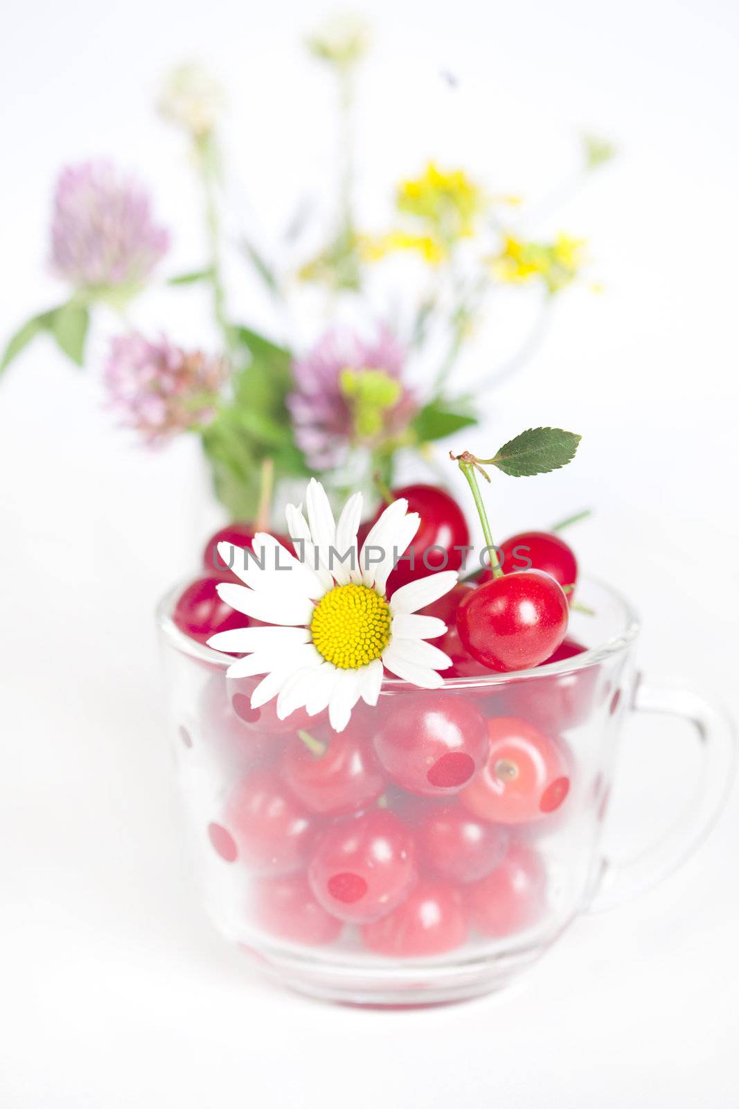 glass cup with cherries and a bouquet of wildflowers by jannyjus