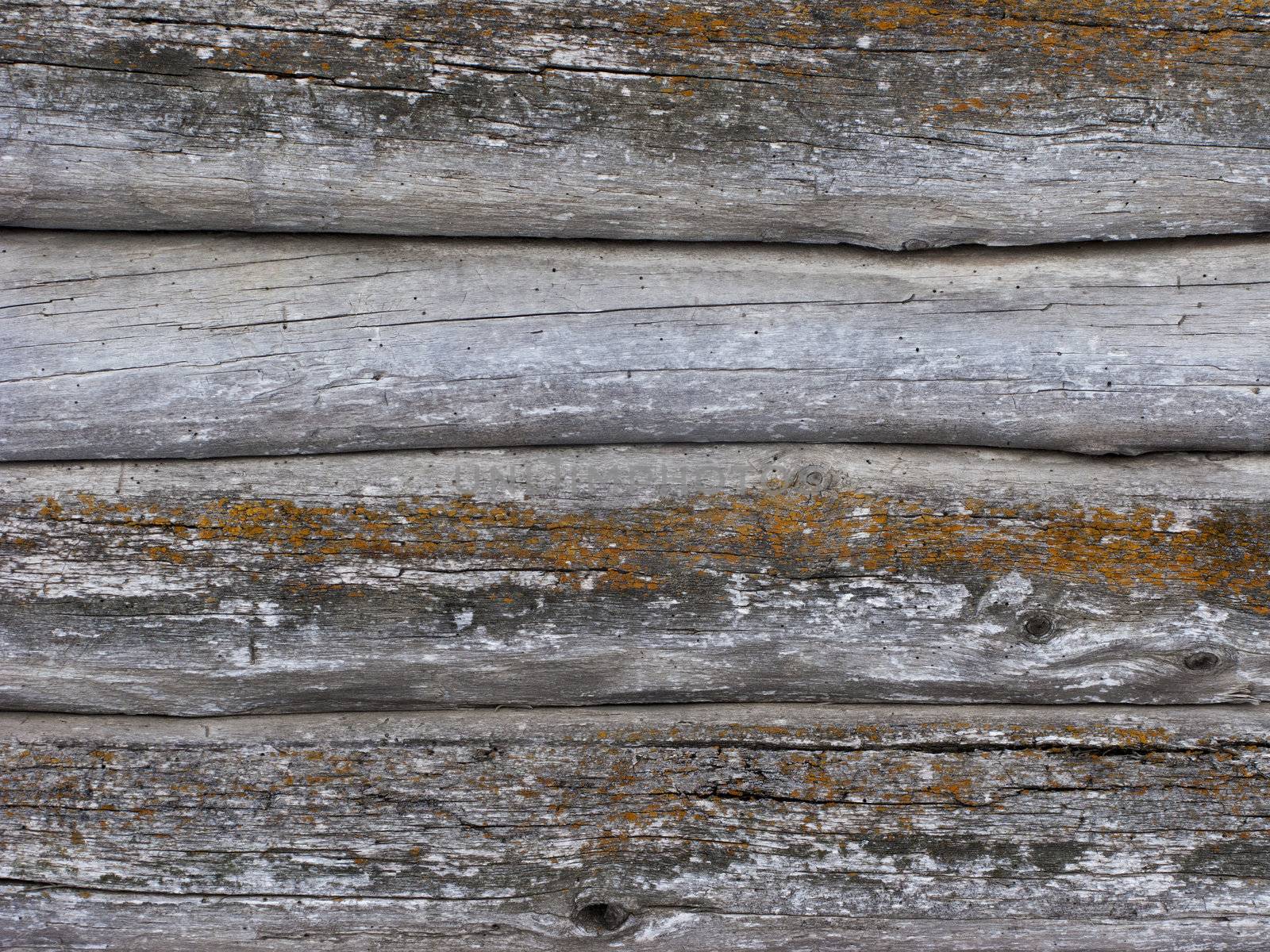 Fragment of very old weathered log walls