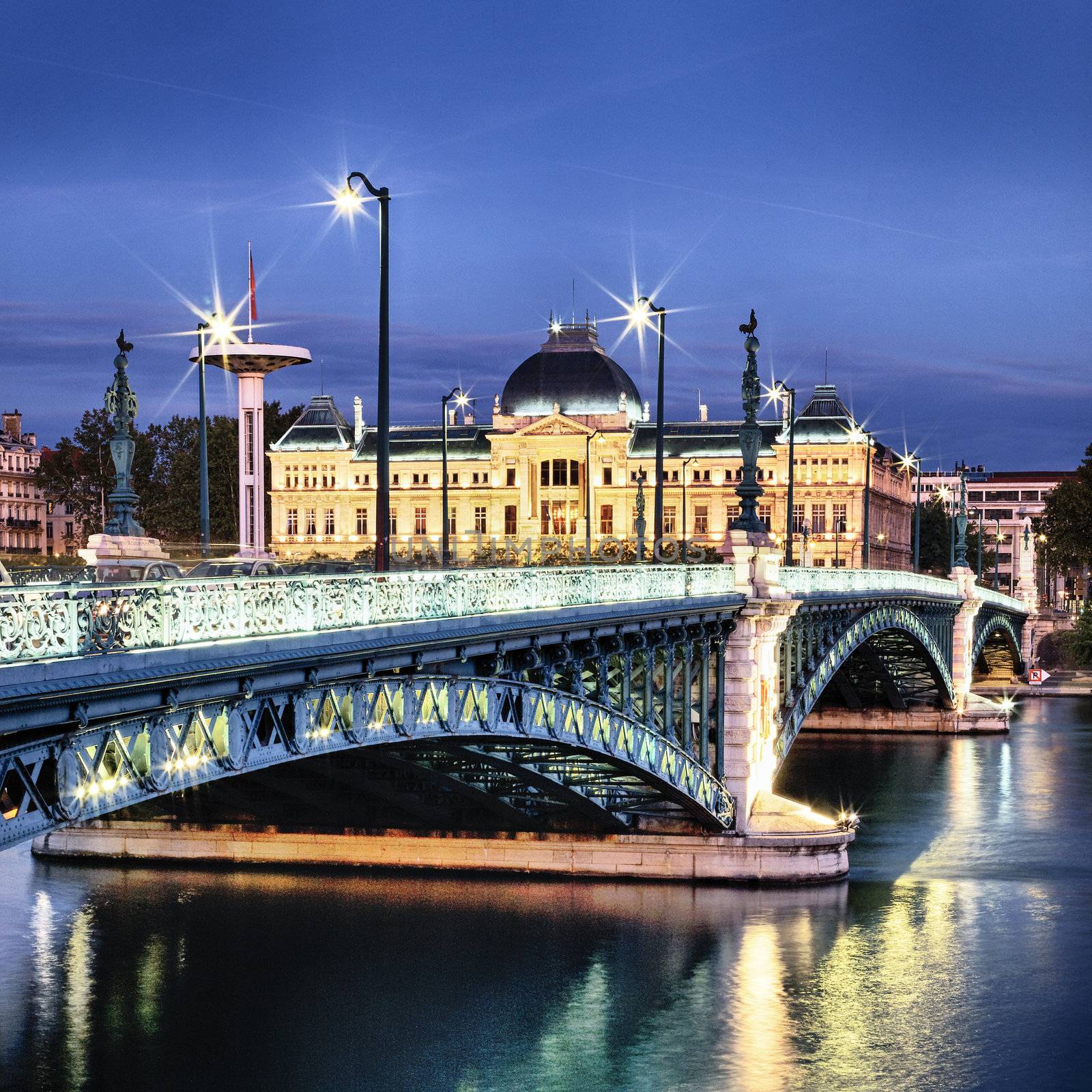 Bridge of University in Lyon by night 