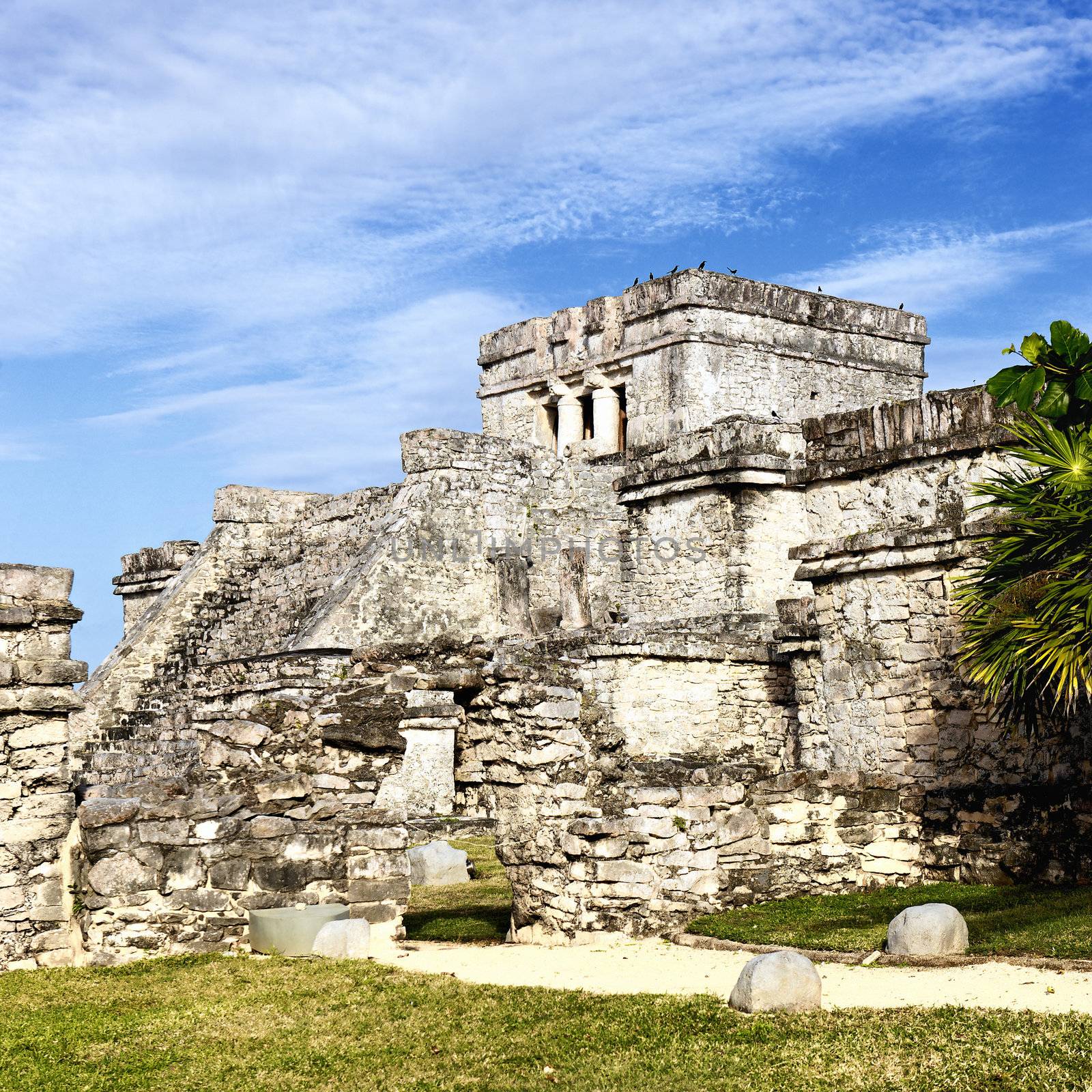 famous Tulum ruins by vwalakte