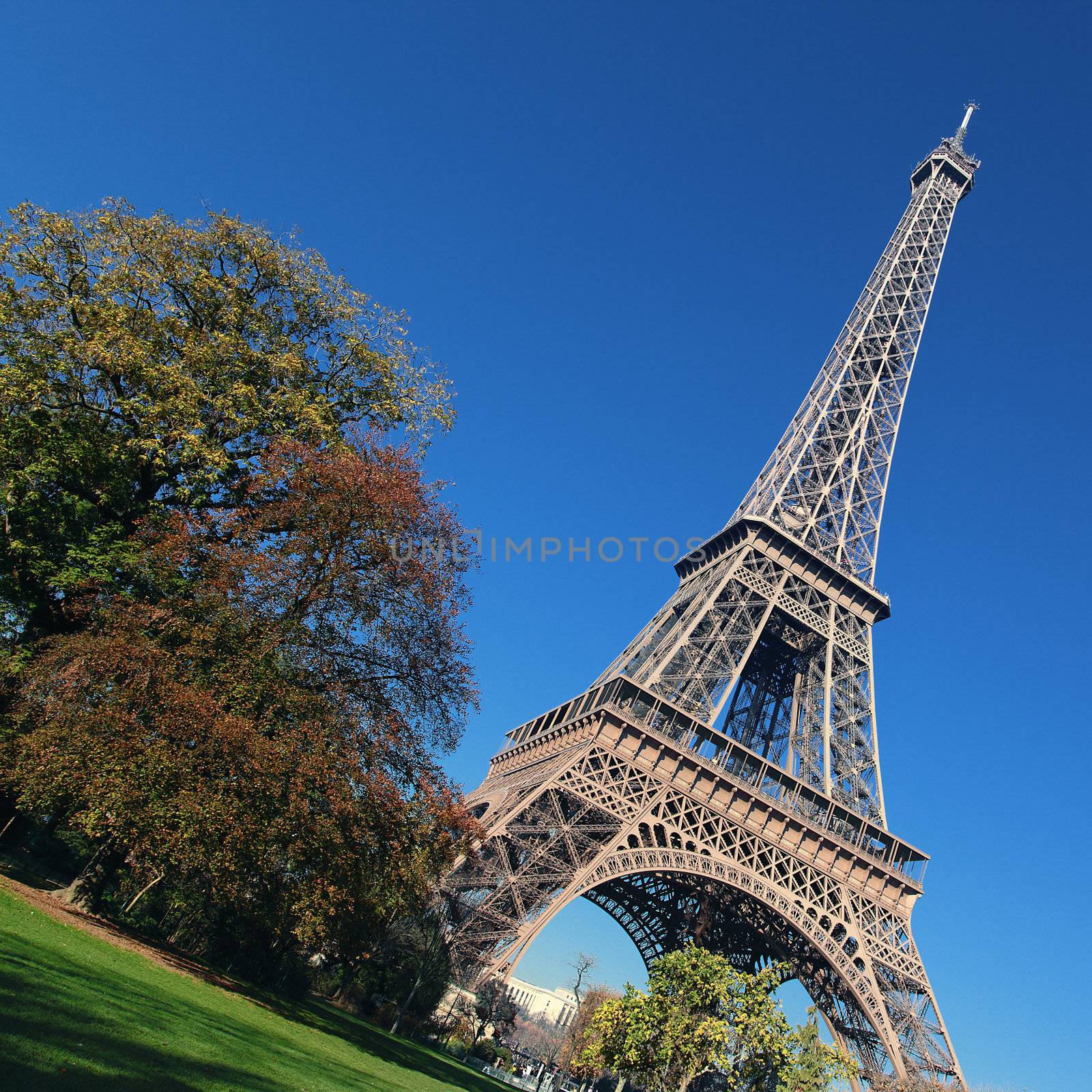 Eiffel Tower and trees in Paris in autumn