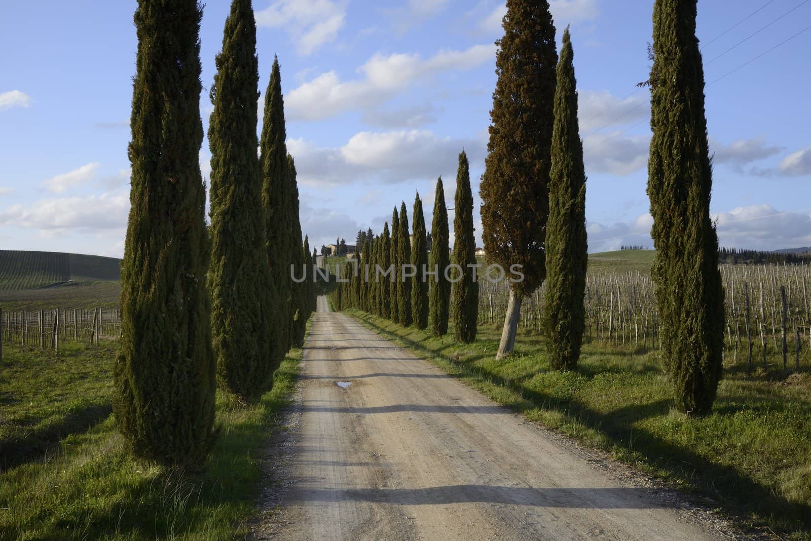 A classical view of the tuscan country