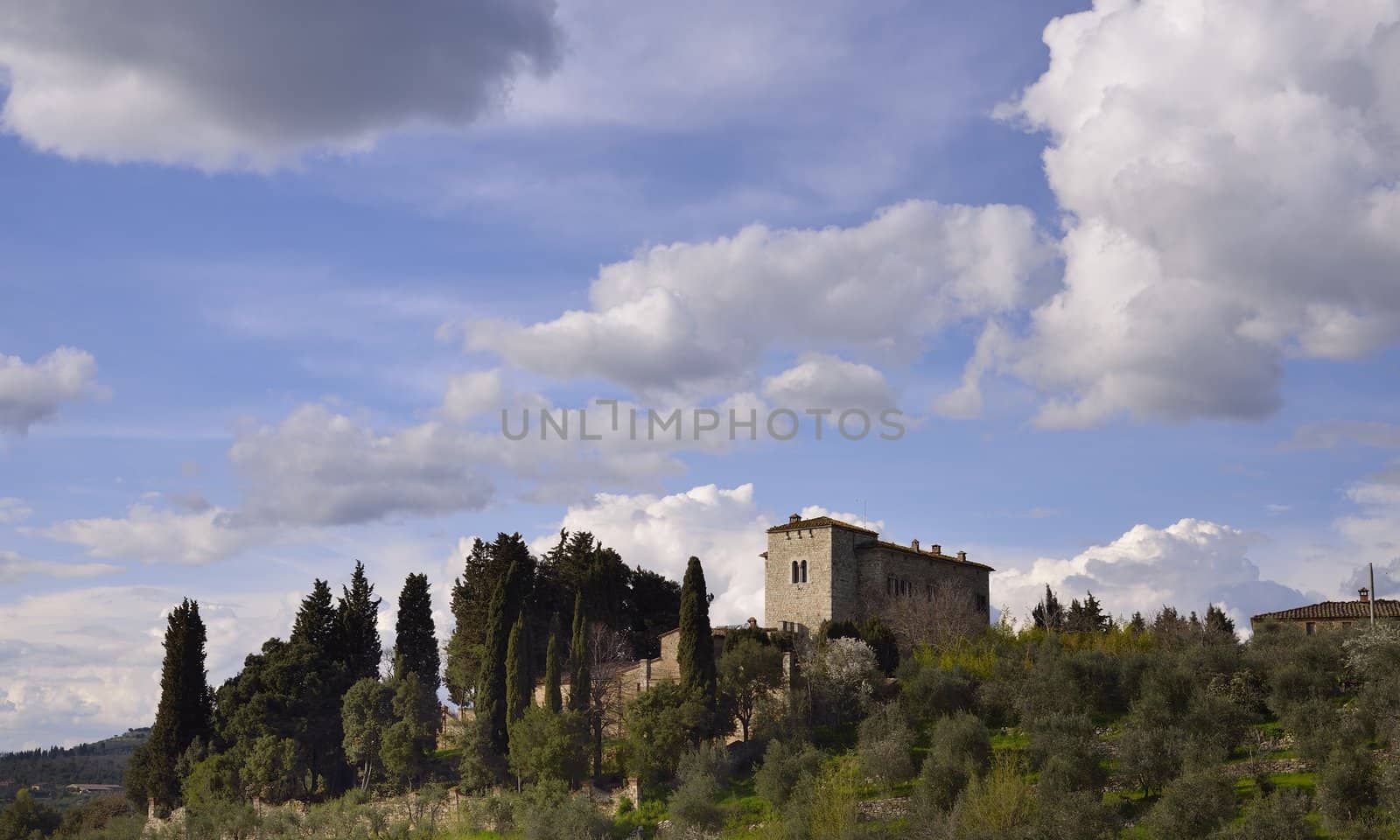 Tuscany landscape with house, olives and vineyard on hill