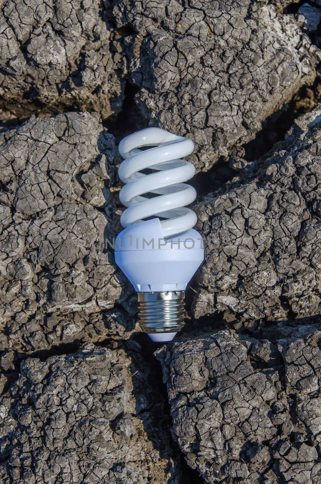 light bulb over drought land