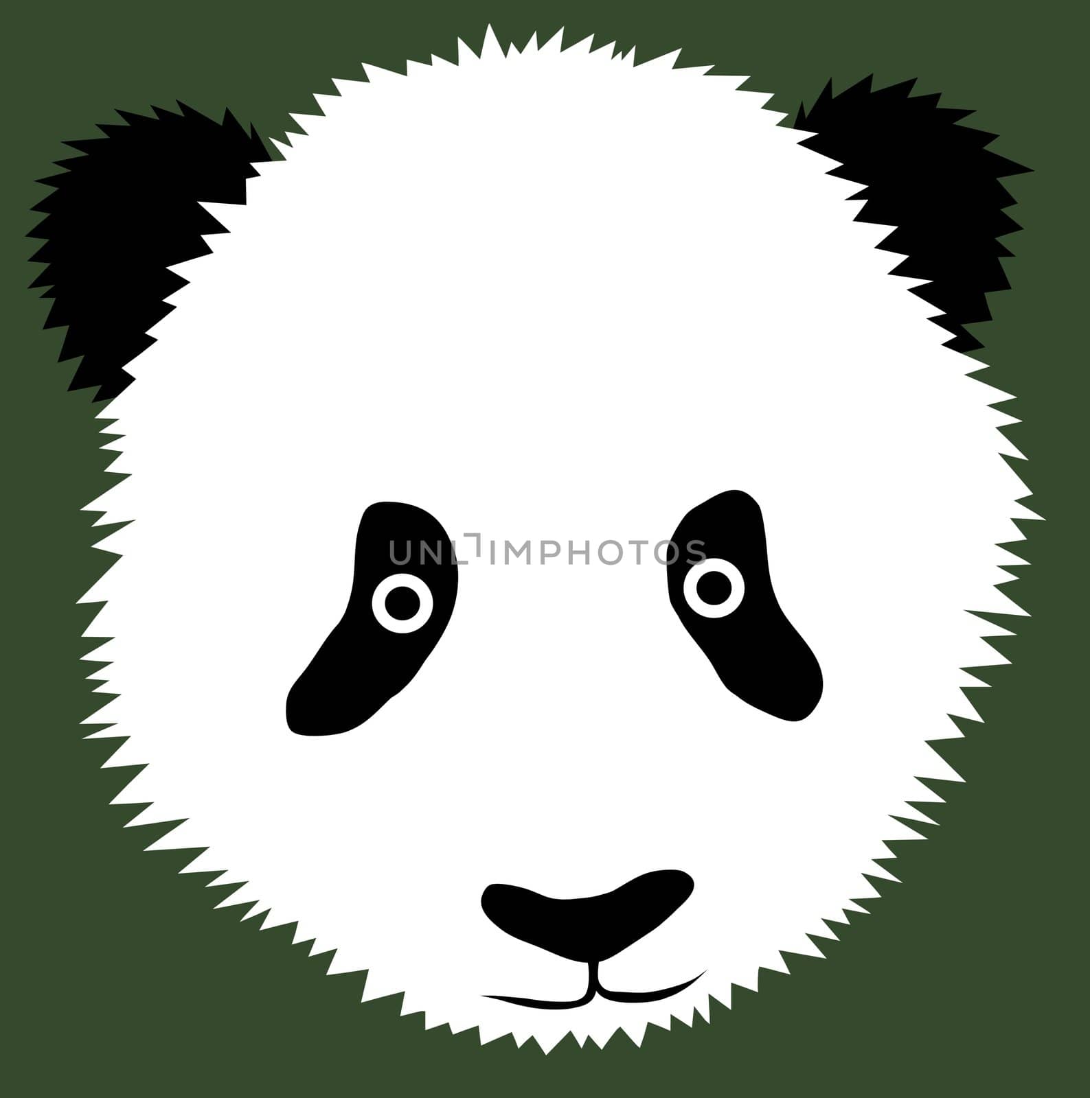 Illustration of a Pandas head