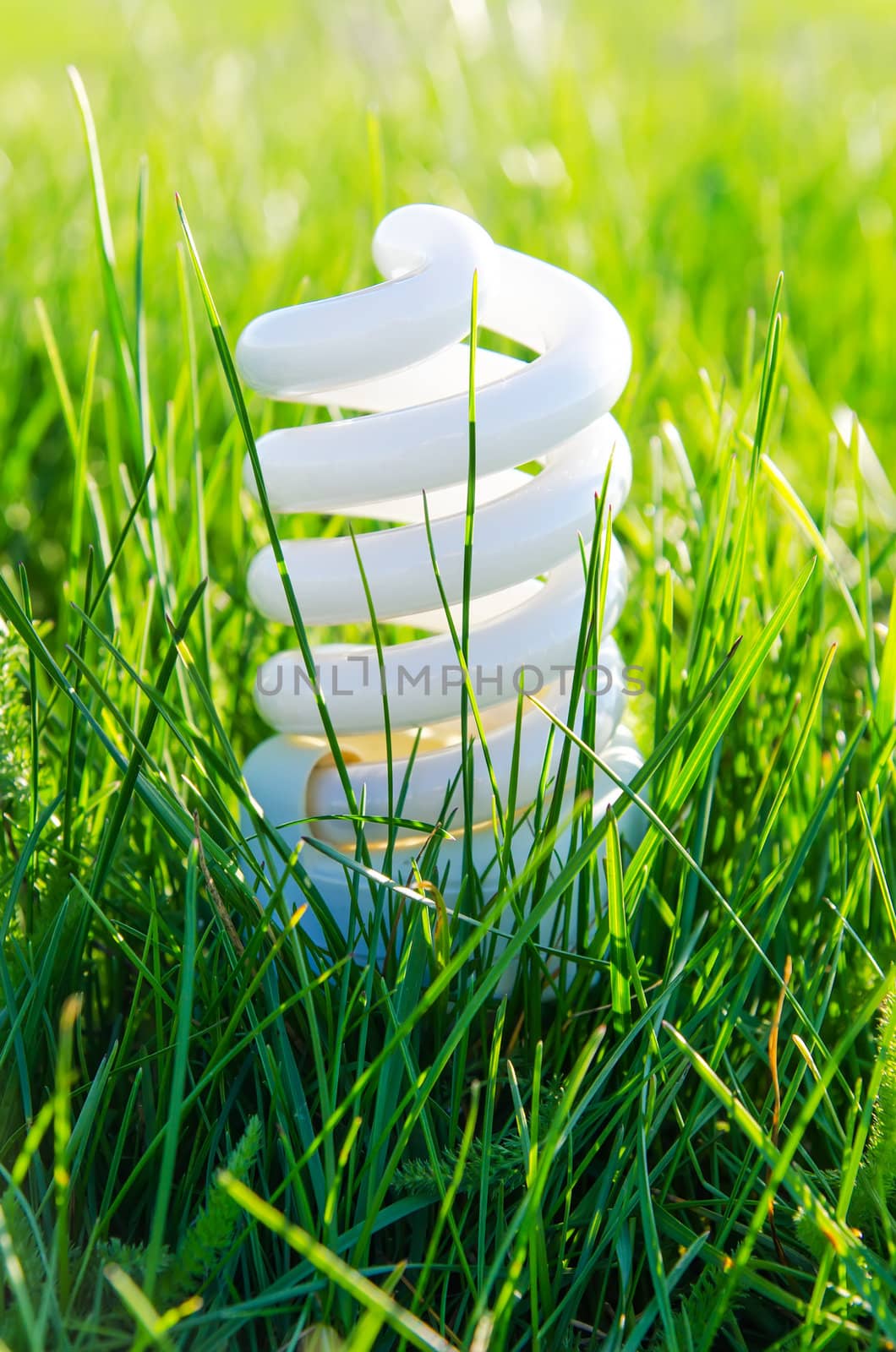 energy-saving lamp in green grass by mycola