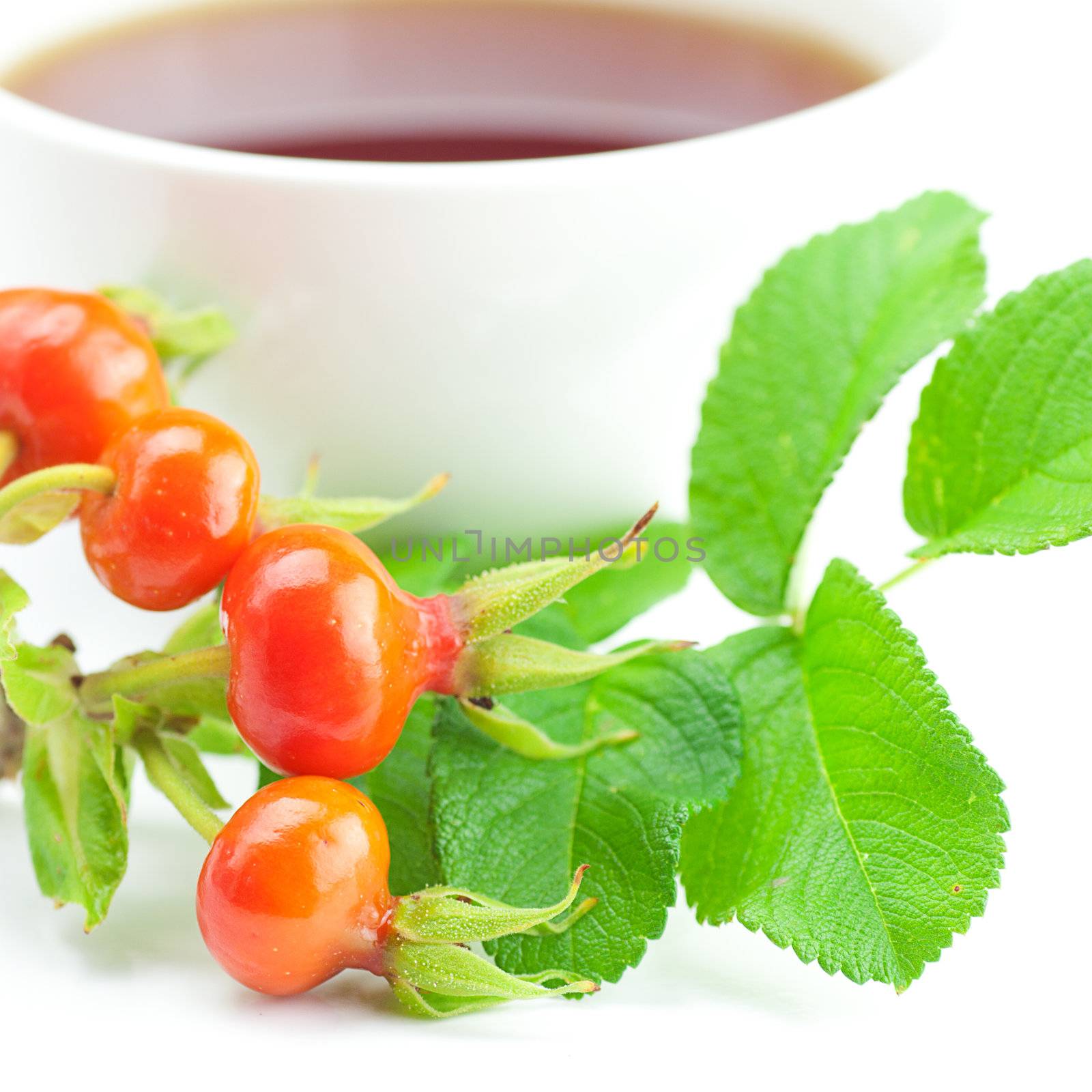 cup of tea and rosehip berries with leaves on white background