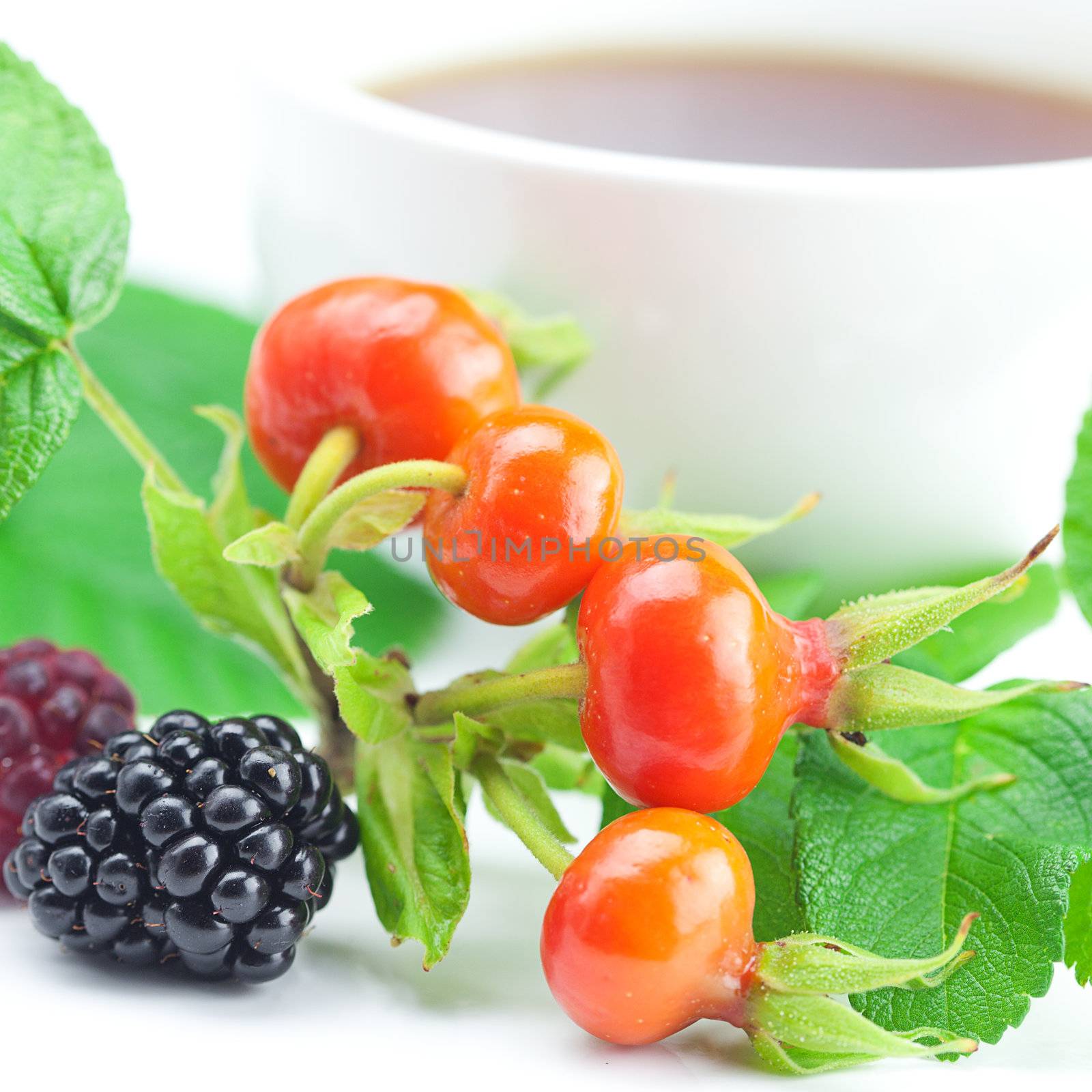 cup of tea, blackberry,raspberry and rosehip berries with leaves by jannyjus