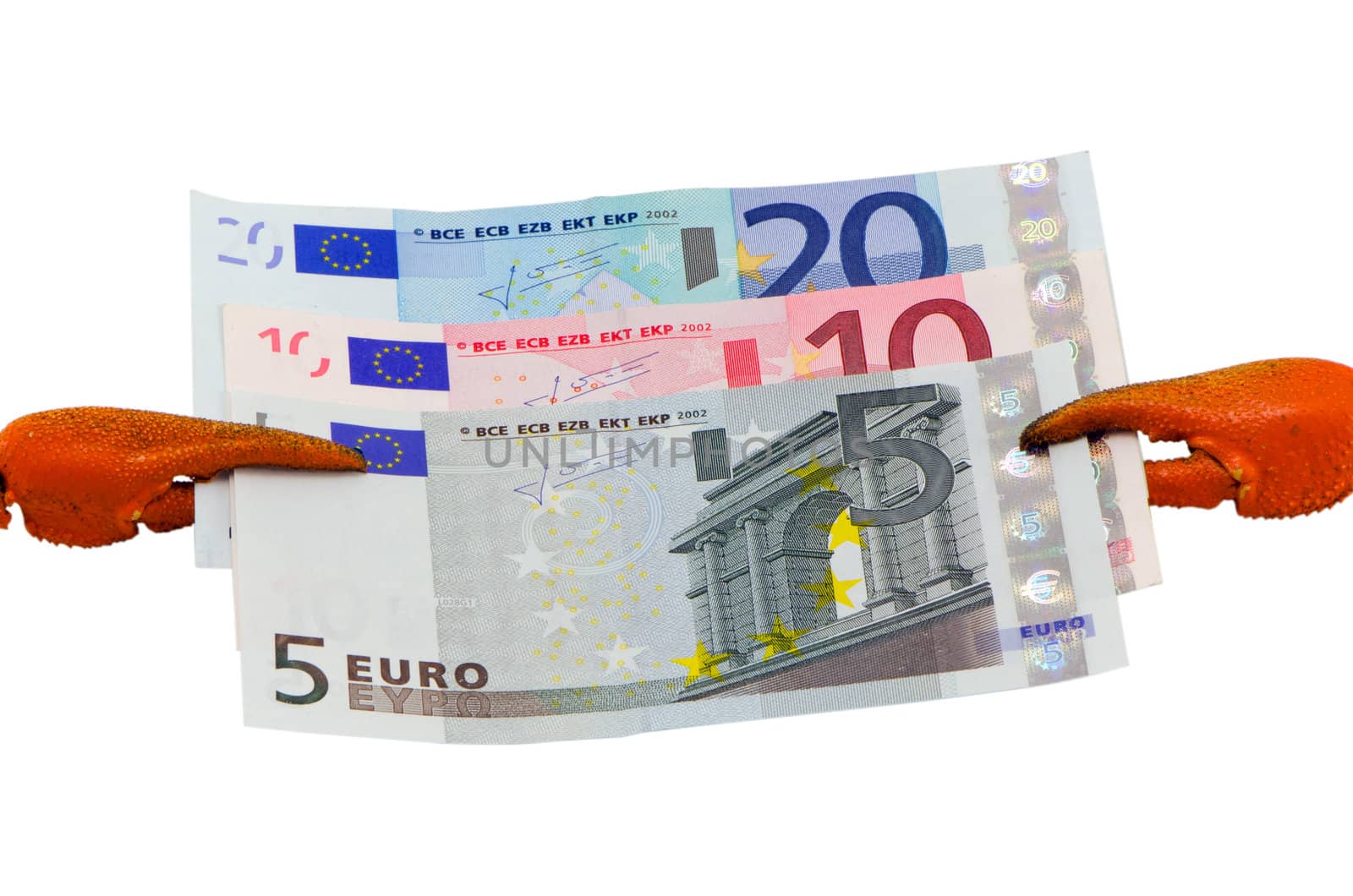 sea crab cancer claw clip hold european euro cash money paper banknotes isolated on white concept of currency money market