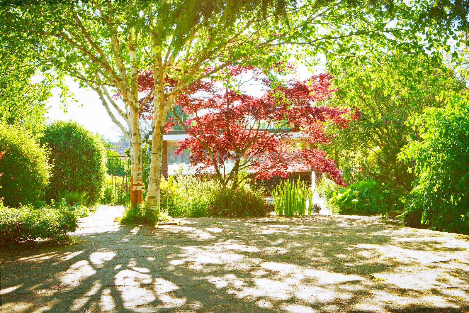 A shaded garden courtyard with spring color