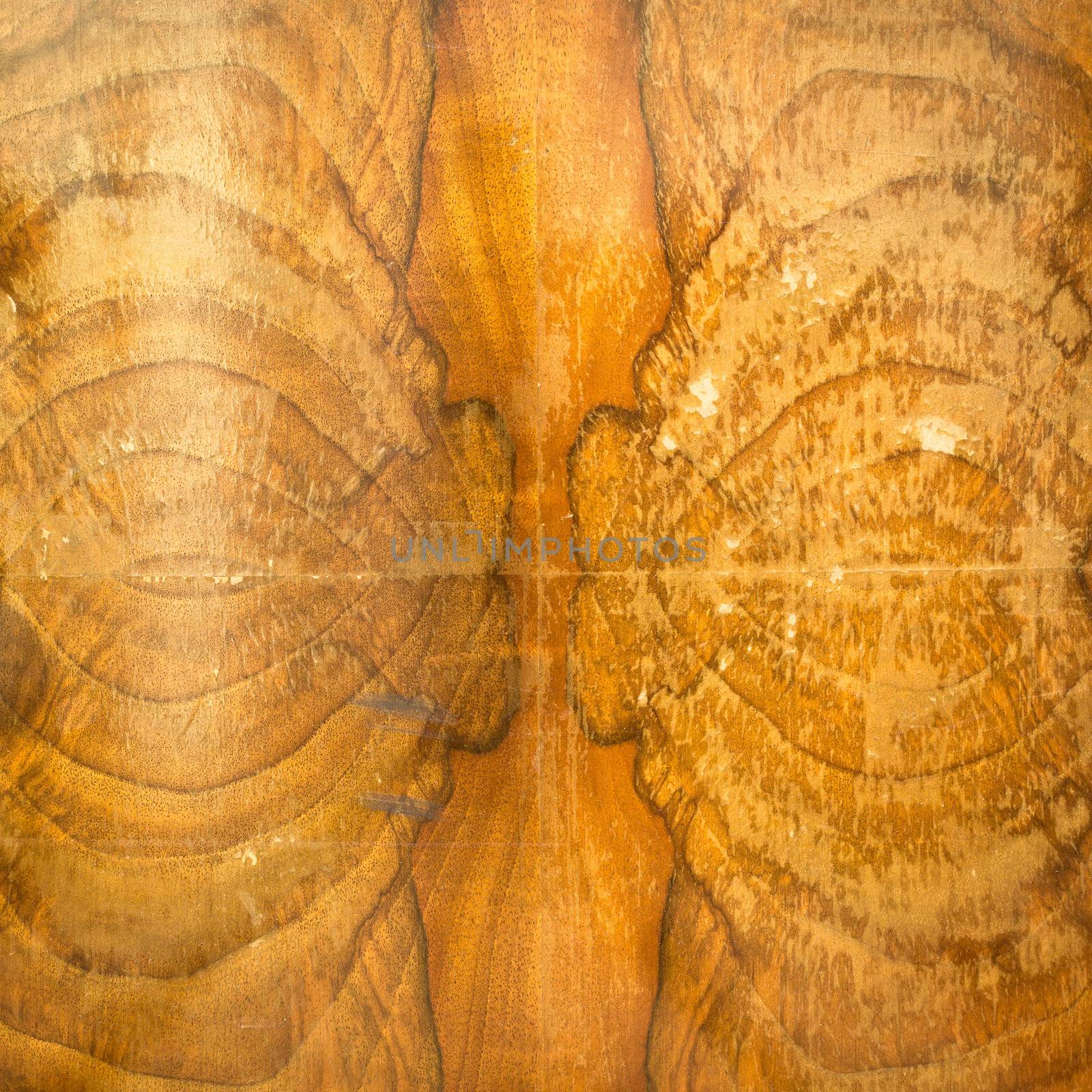 Close up of a wooden veneer showing striking pattern