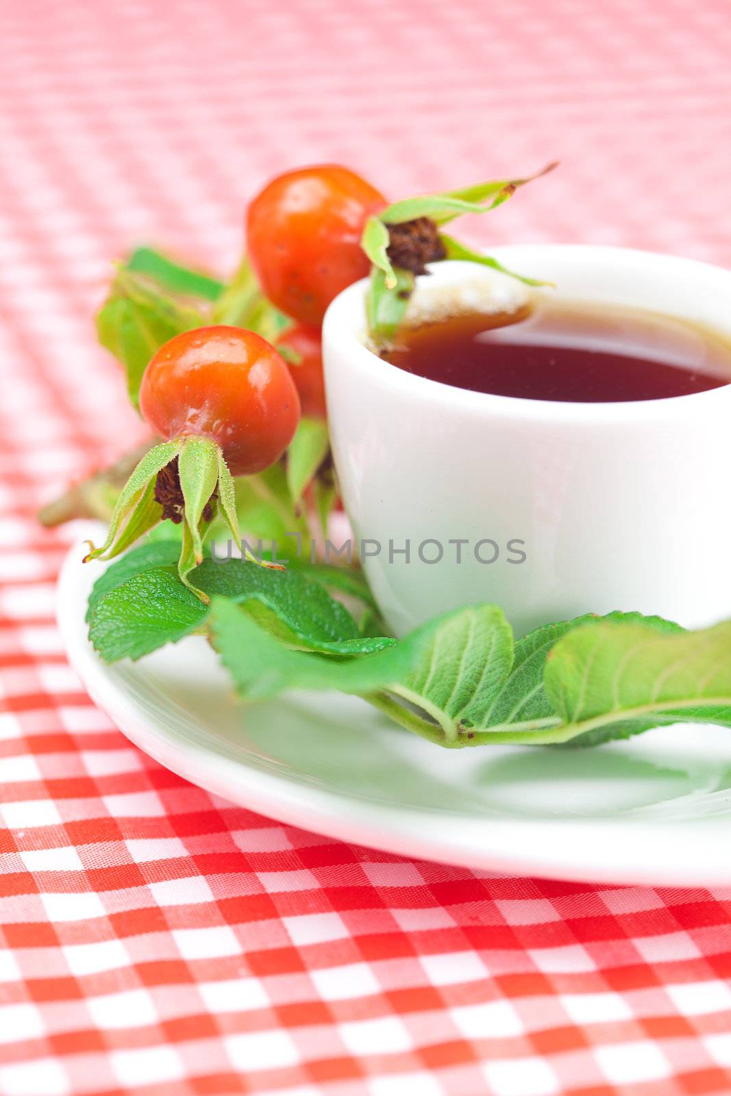 cup of tea and rosehip berries with leaves on plaid fabric by jannyjus