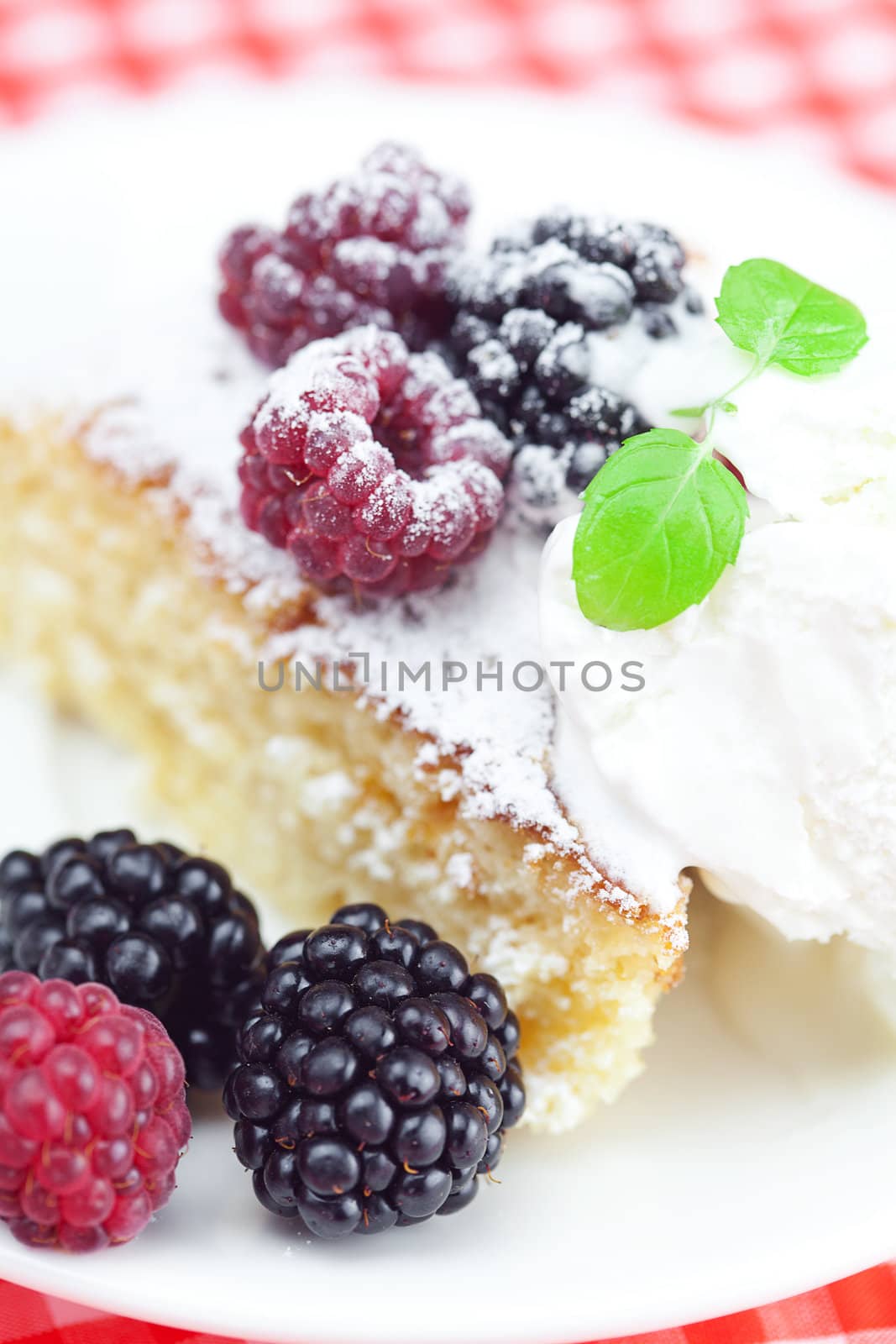 cake with icing,icecream, raspberry, blackberry and mint on a plate on plaid fabric