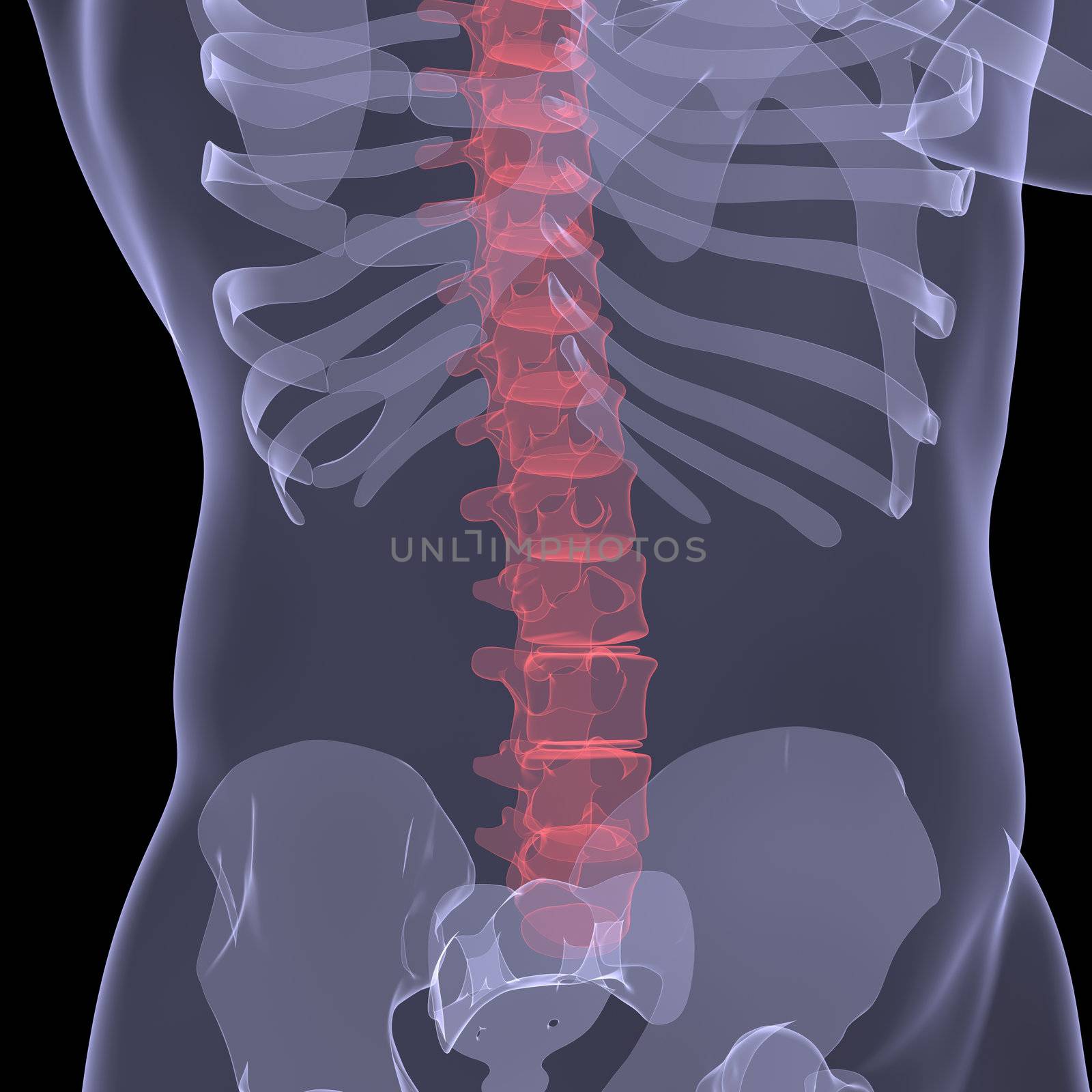 X-ray of the human spine. Render on a black background