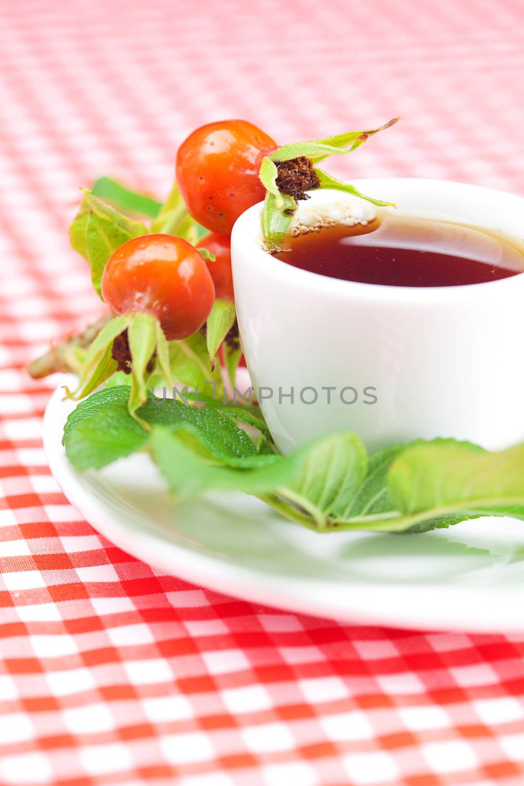 cup of tea and rosehip berries with leaves on plaid fabric