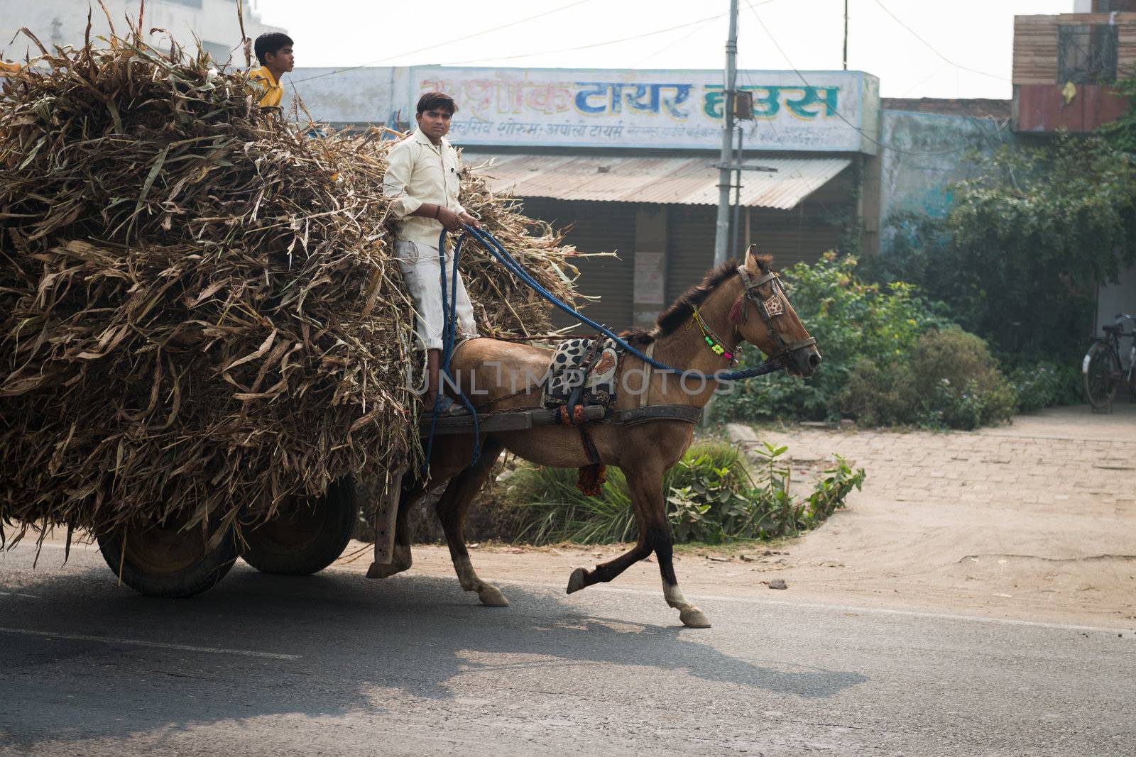 Two Indian boys ride a horse with loaded cart on a road by iryna_rasko