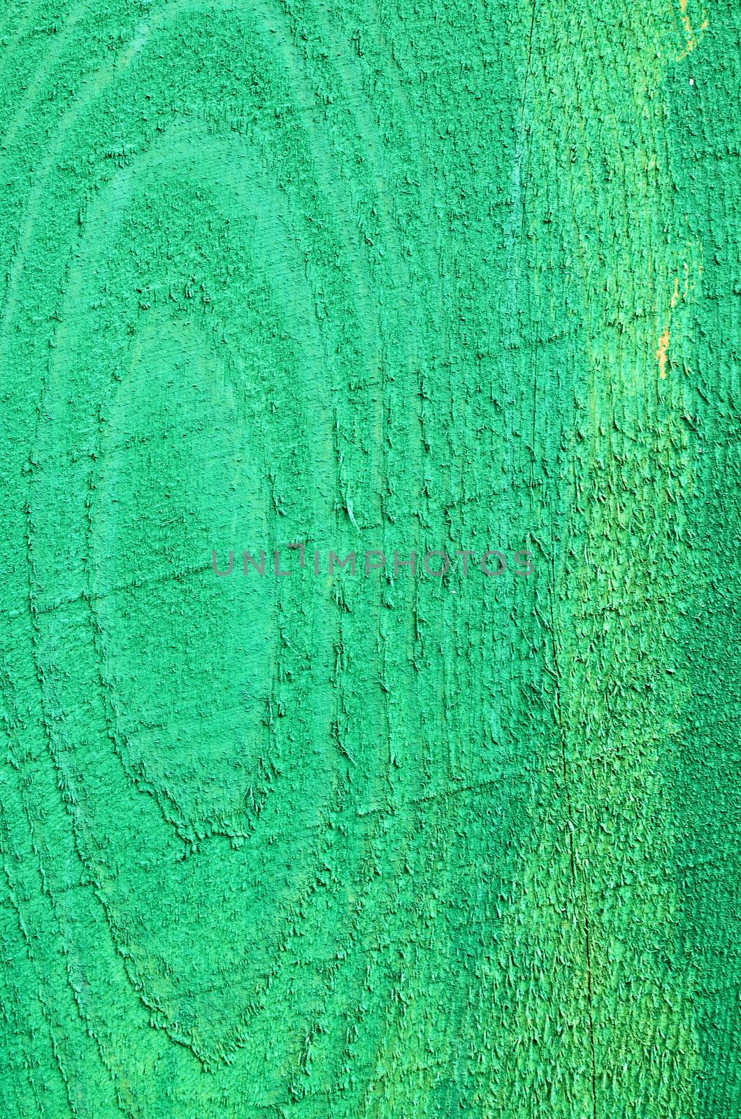 wood plank texture in green color