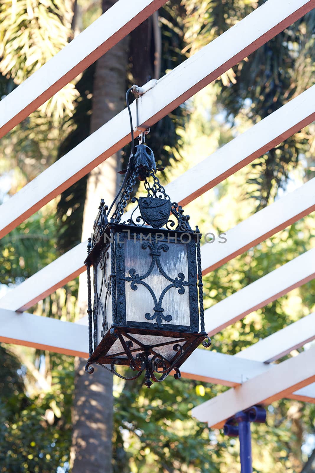 decorative lantern hanging in the arbor