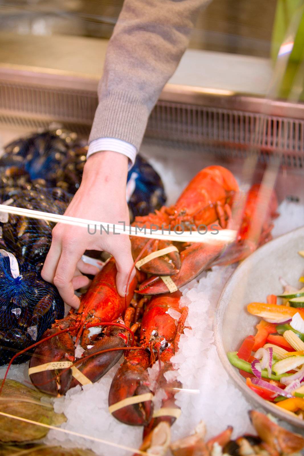 A freshly cooked lobster in a grocery store seafood display