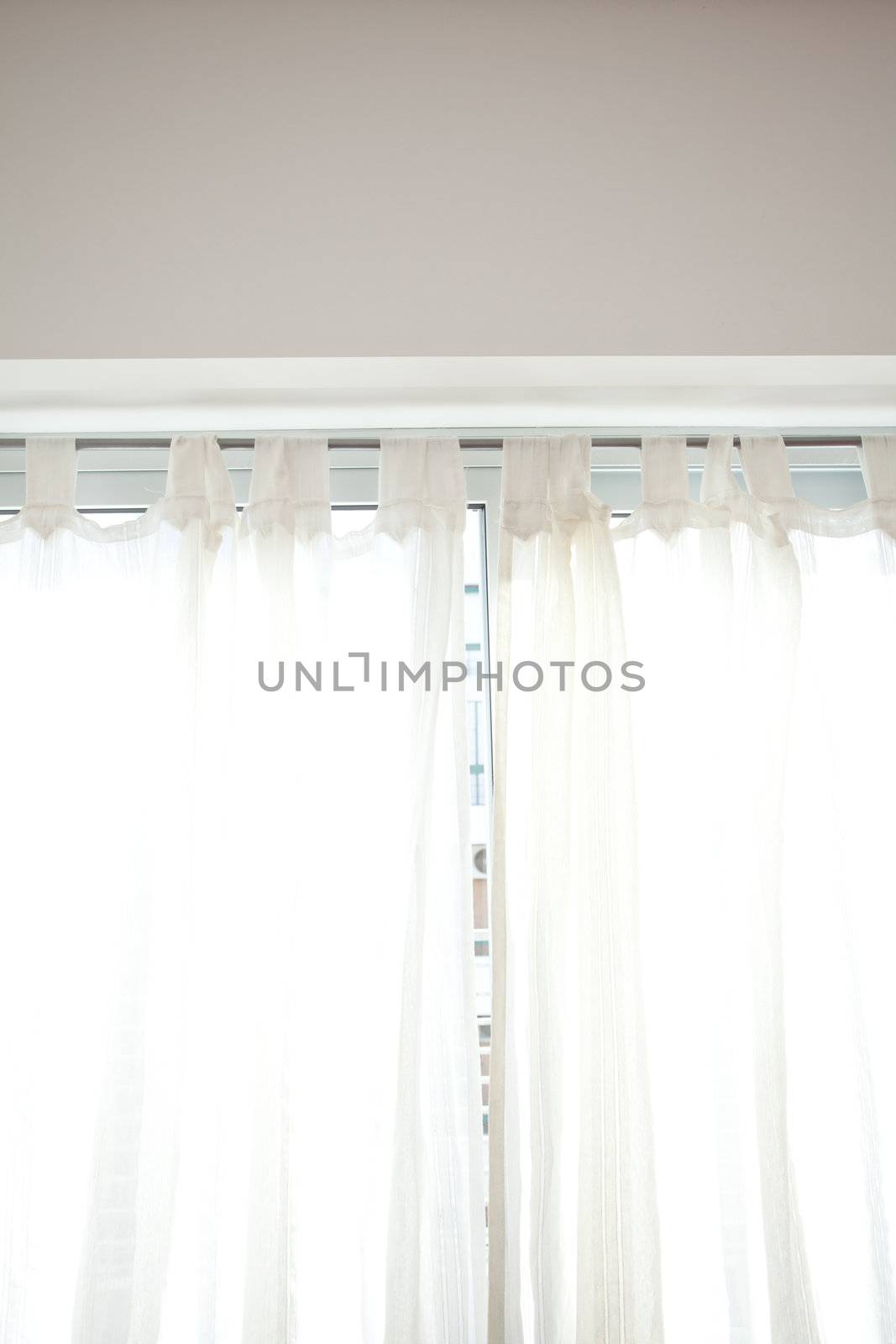 Background of the curtains in the sunlight by jannyjus