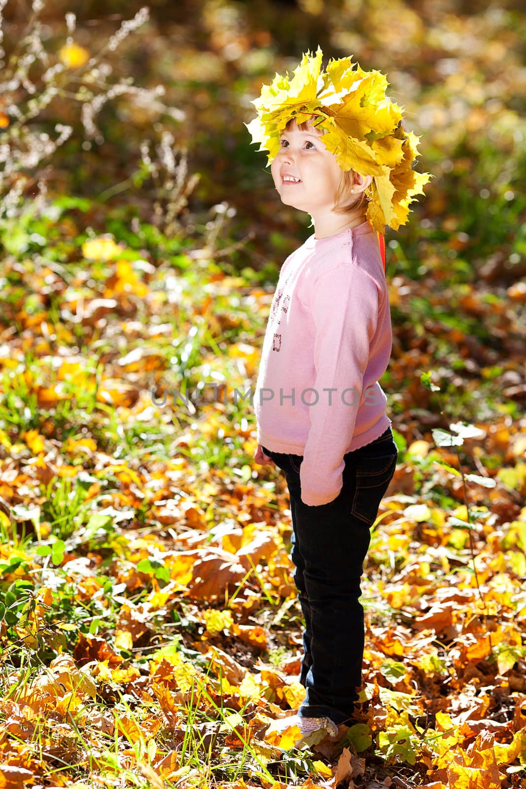beautiful little girl in a wreath of maple leaves in autumn fore by jannyjus