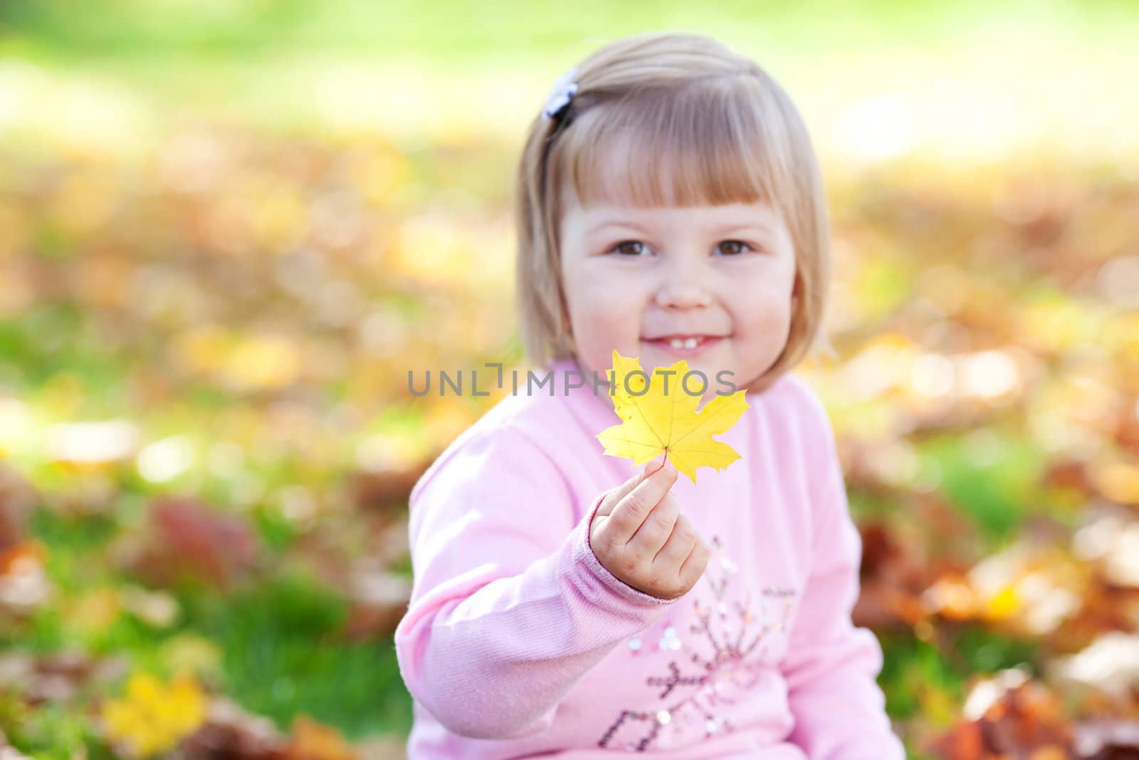 portrait of a beautiful little girl holding a maple leaf in his  by jannyjus