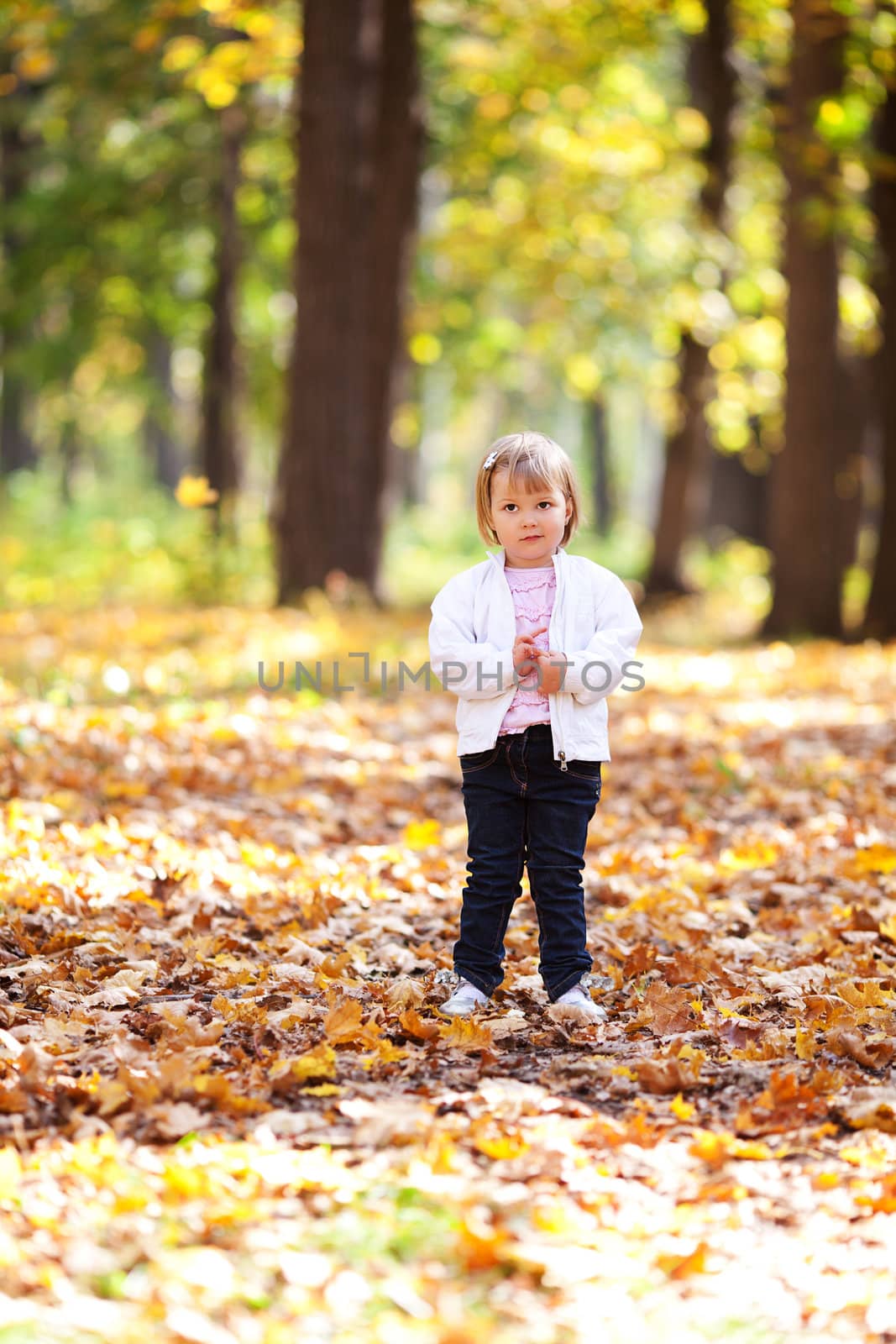 beautiful little girl in the autumn forest