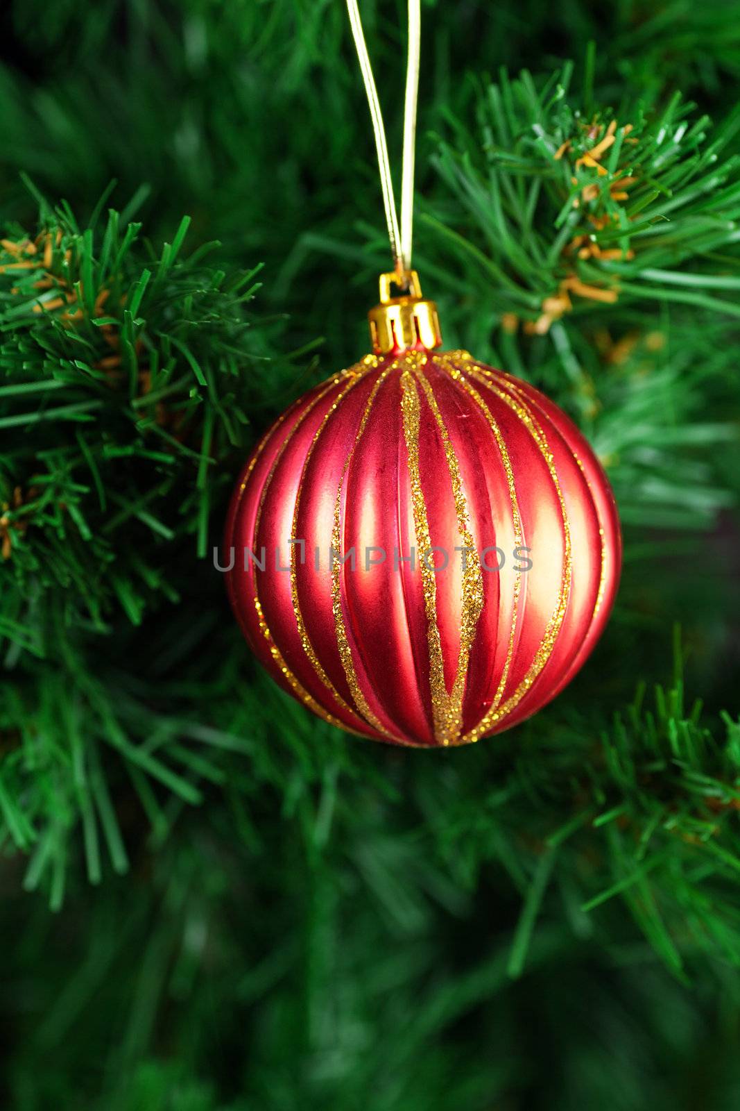 Christmas Toy on the Christmas tree