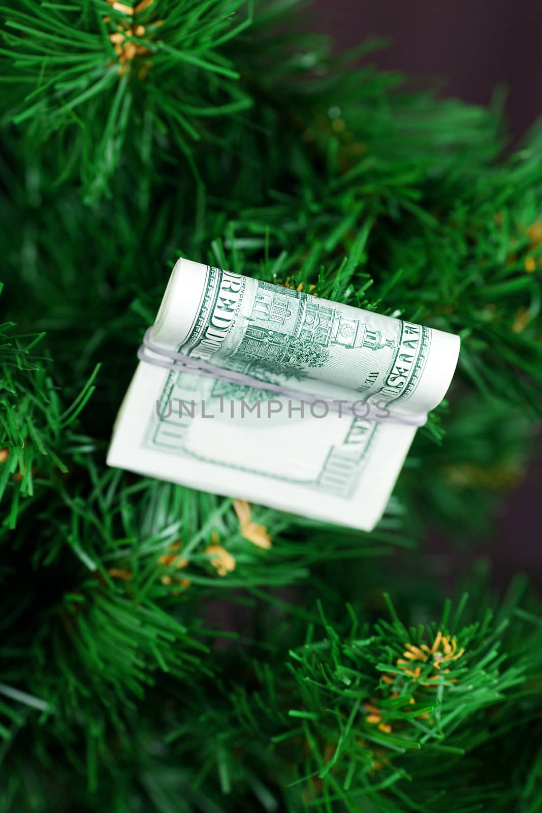 stack of dollars on the Christmas tree by jannyjus