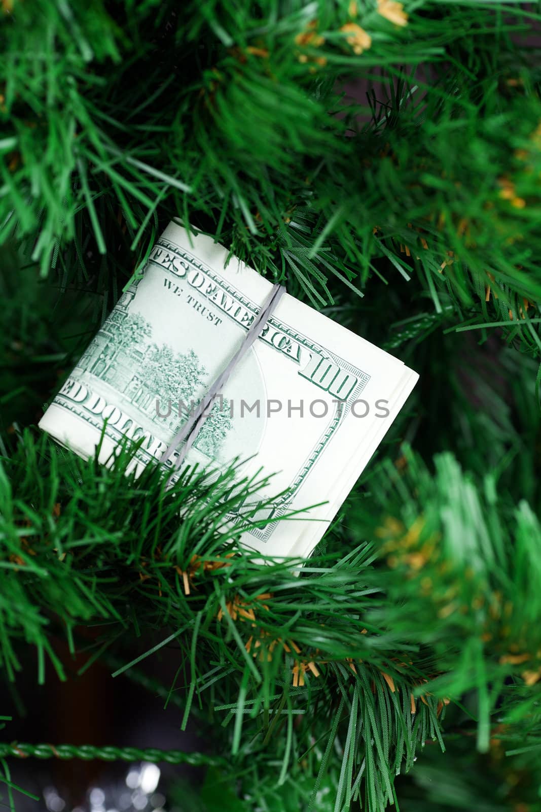 stack of dollars on the Christmas tree by jannyjus