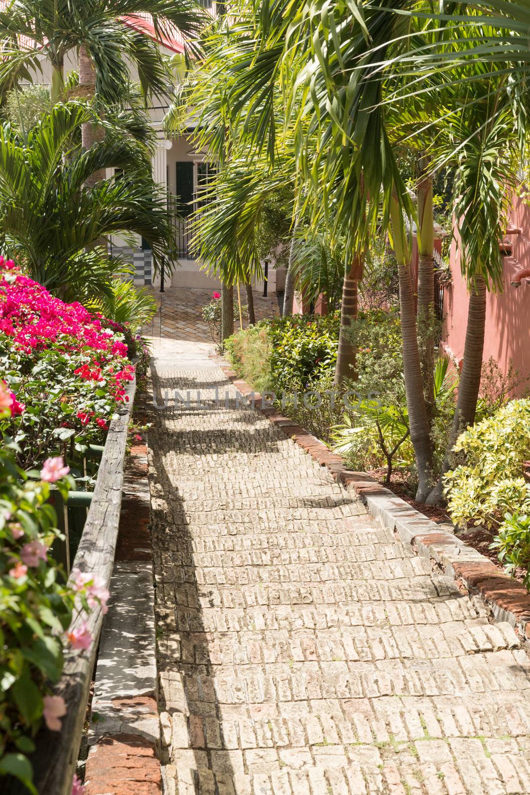 Ninety nine steps framed by red flower blossom in Charlotte Amalie St Thomas
