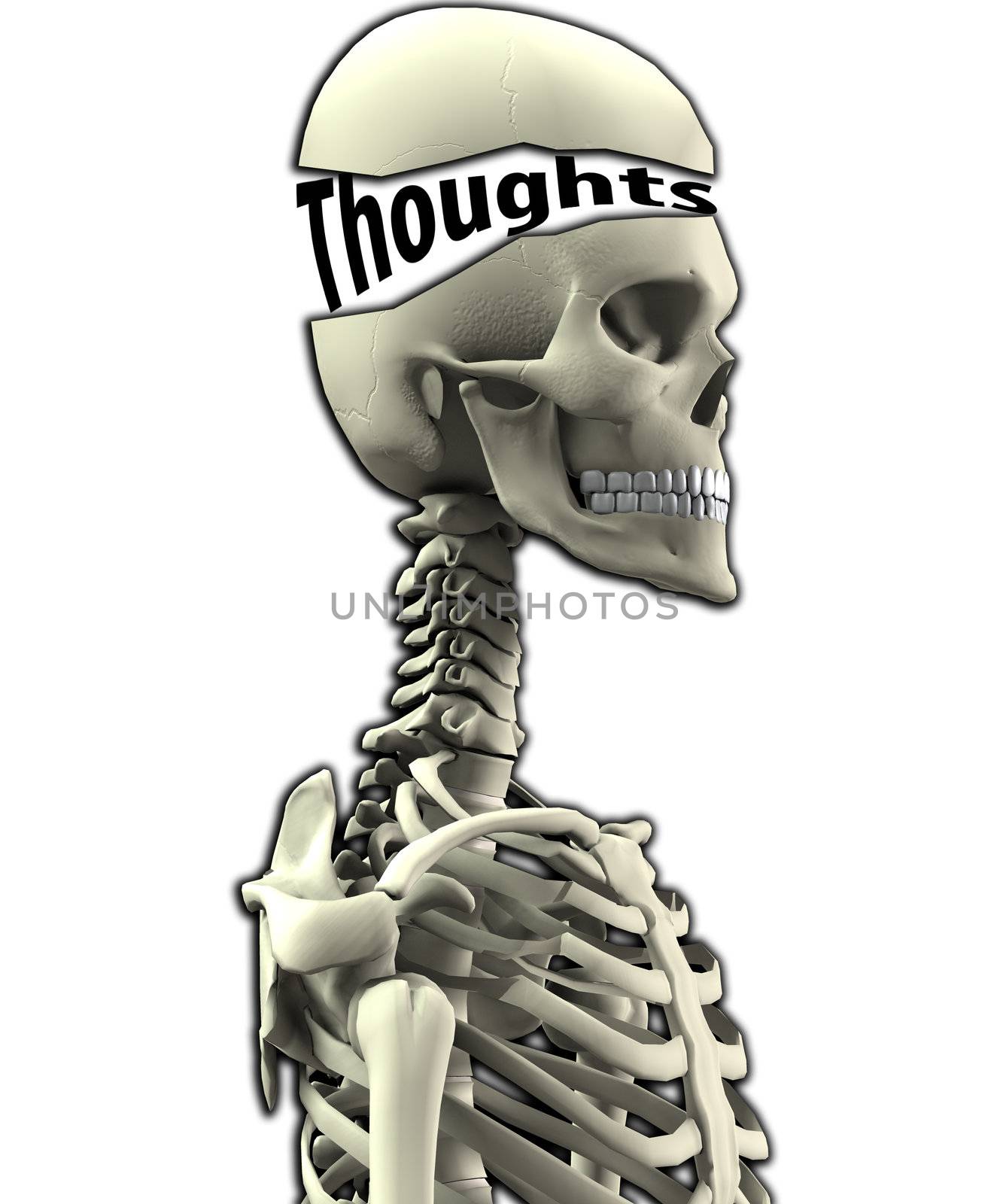 Skeleton With Open Thoughts  by harveysart