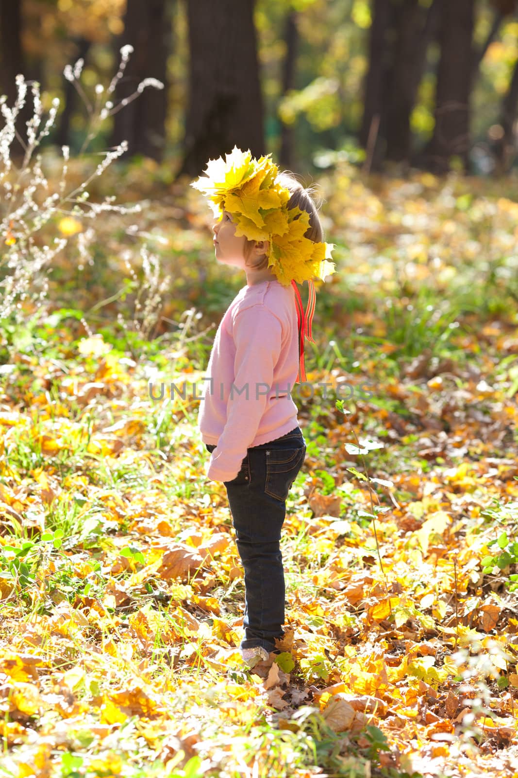 beautiful little girl in a wreath of maple leaves in autumn fore by jannyjus