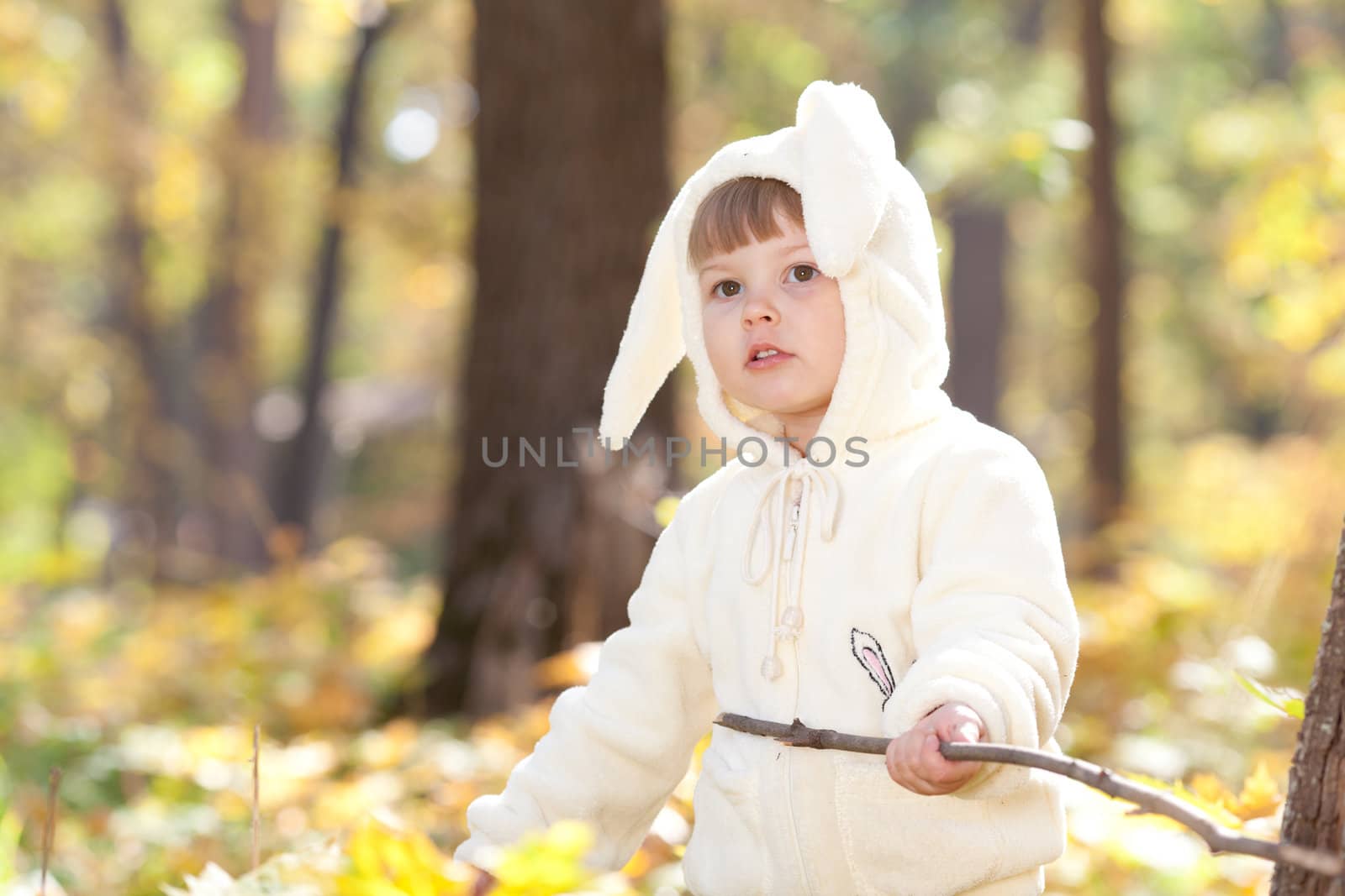 beautiful little girl in costume bunny in the autumn forest