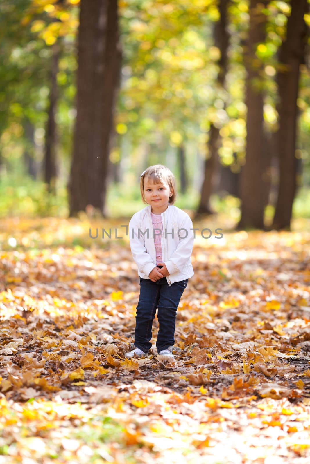 beautiful little girl throwing leaves  in the forest   by jannyjus