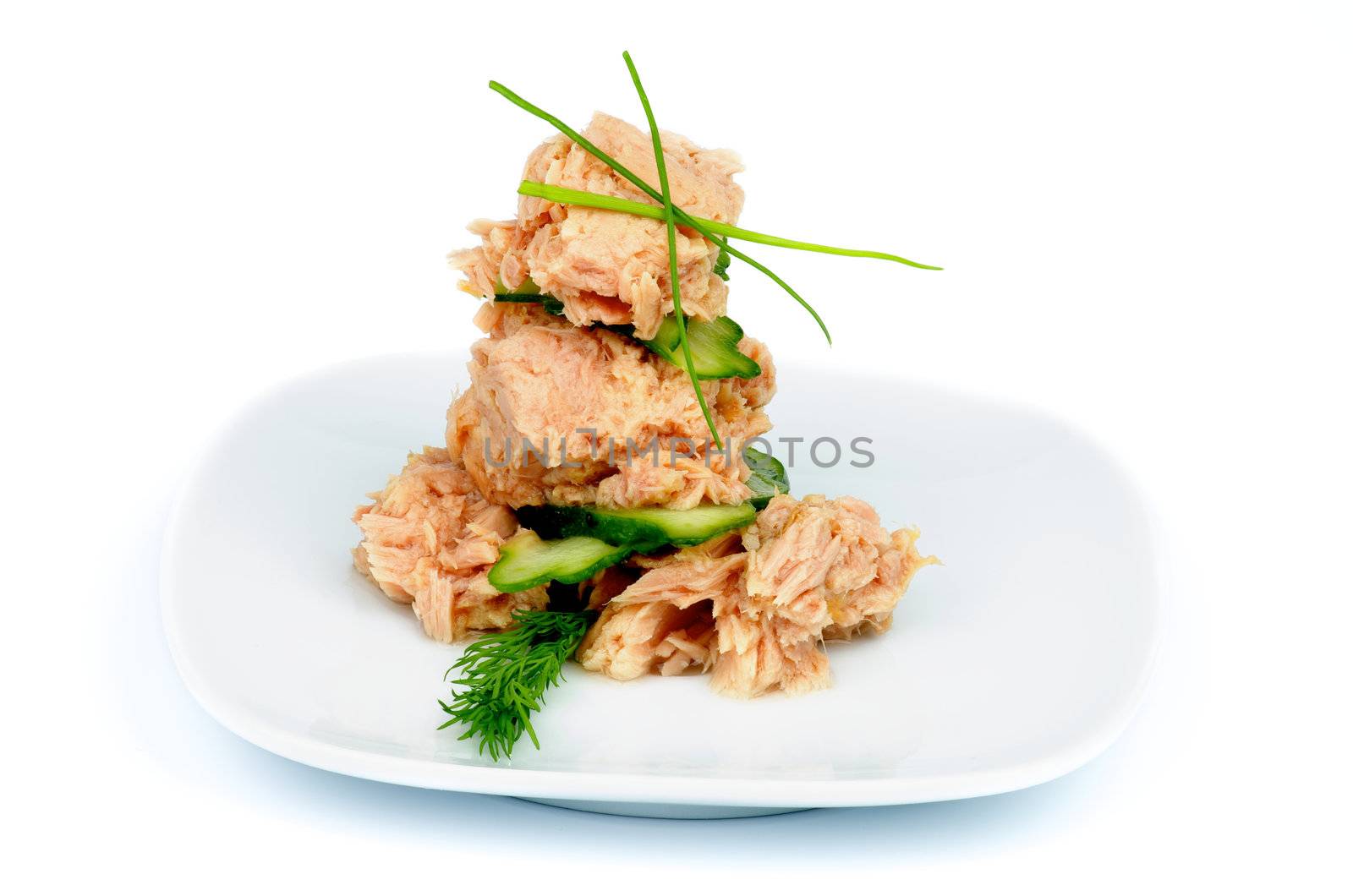 Arrangement of Tuna Salad with Dill, Cucumber and Spring Onion Square White Plate isolated on white background