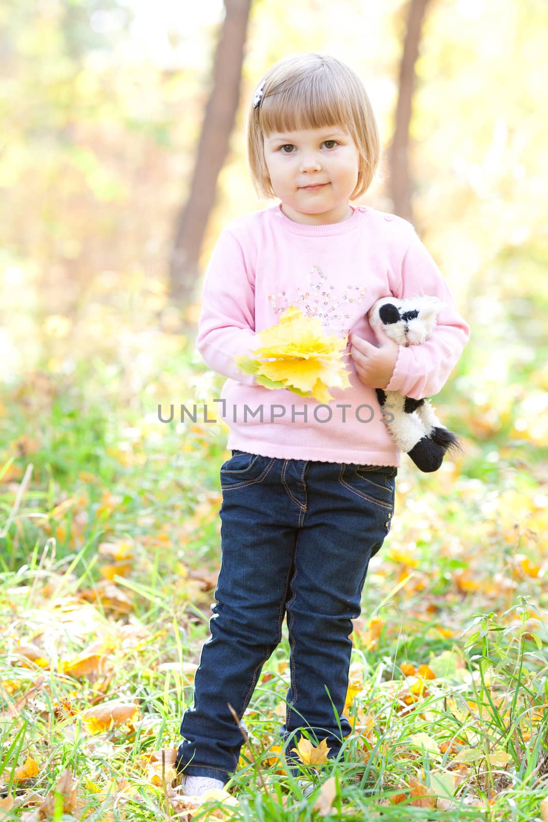 beautiful little girl on the autumn forest