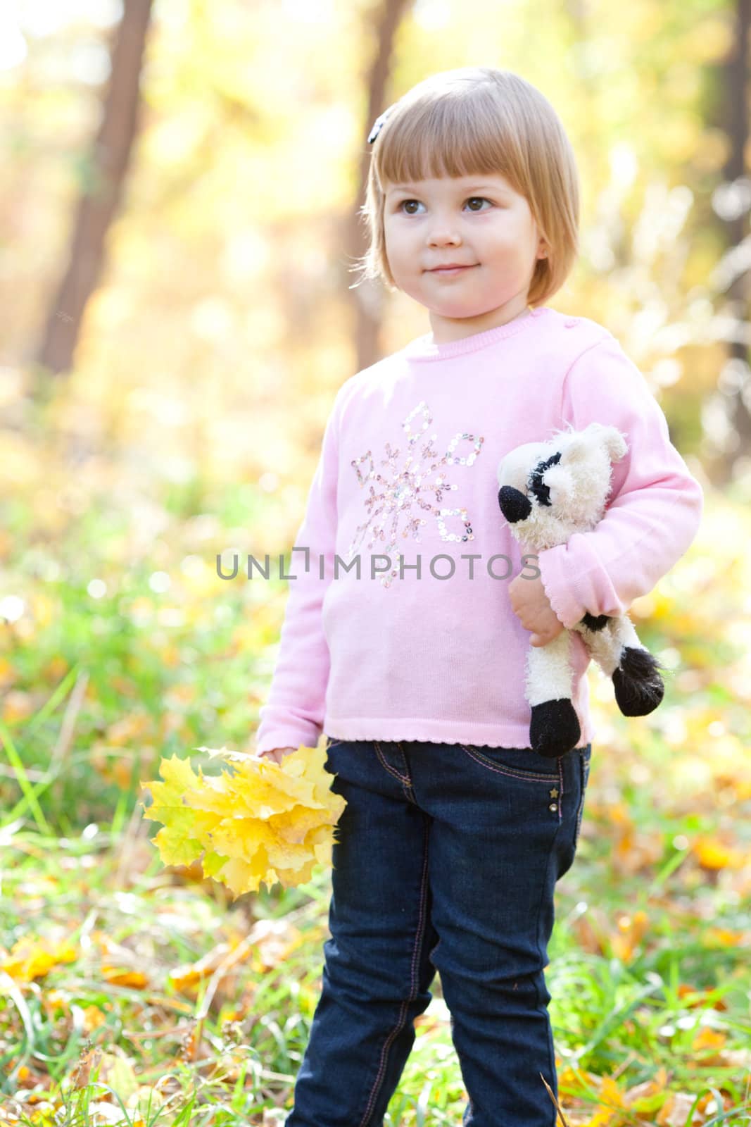 beautiful little girl on the autumn forest