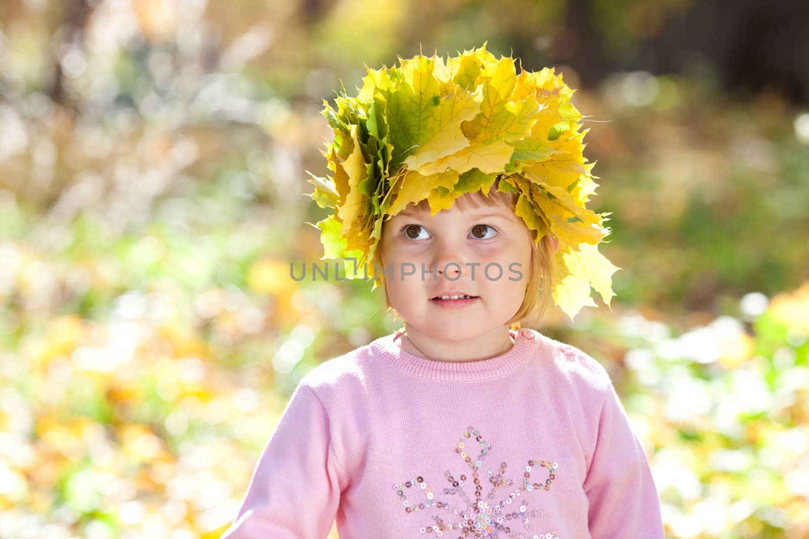 beautiful little girl in a wreath of maple leaves in autumn fore by jannyjus