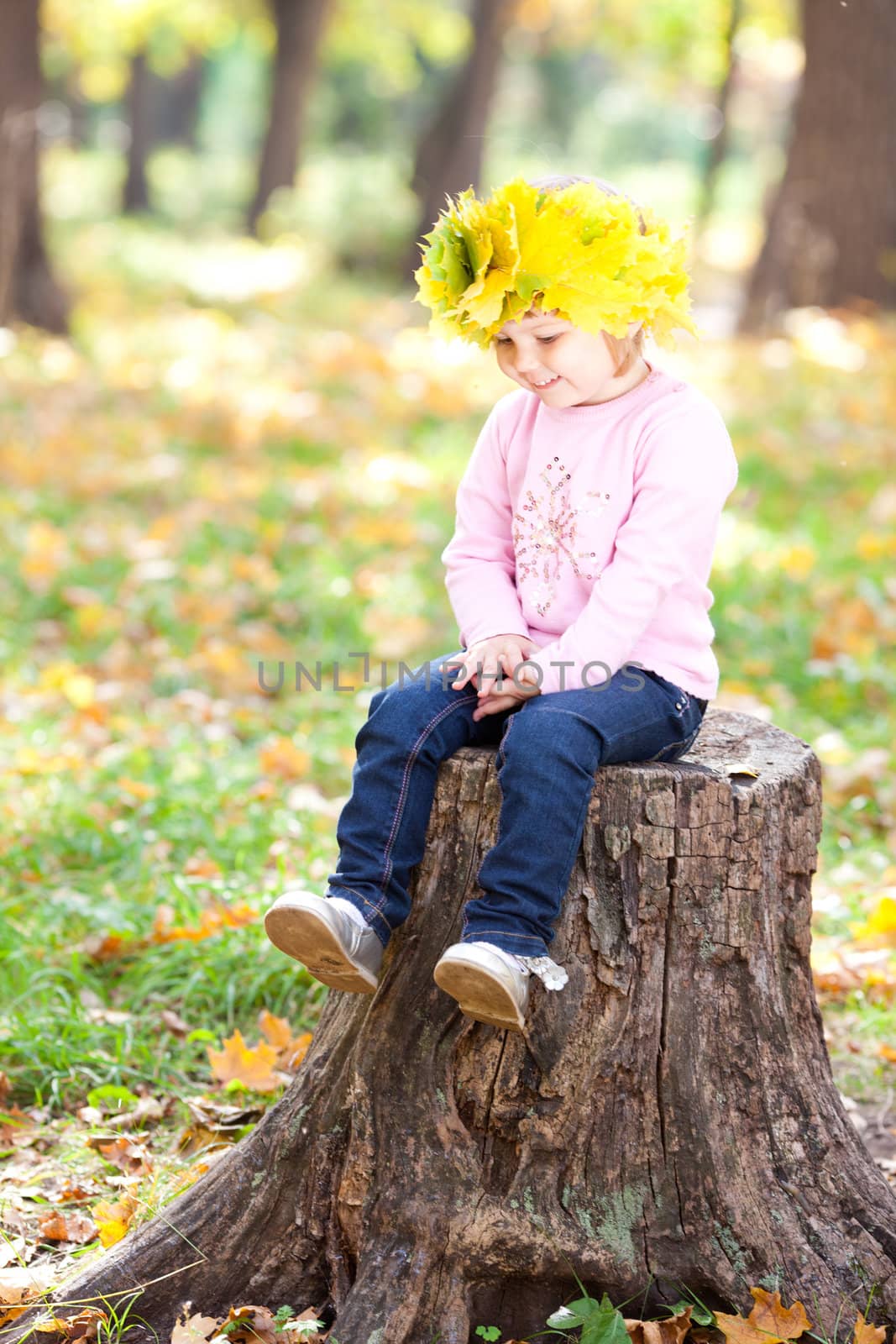 beautiful little girl in a wreath of maple leaves sitting on stu by jannyjus